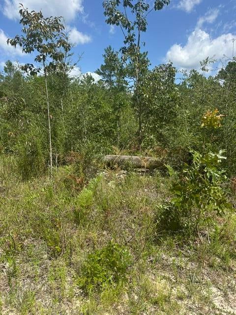 OAKWOOD HILLS UNIT 3 - Land
