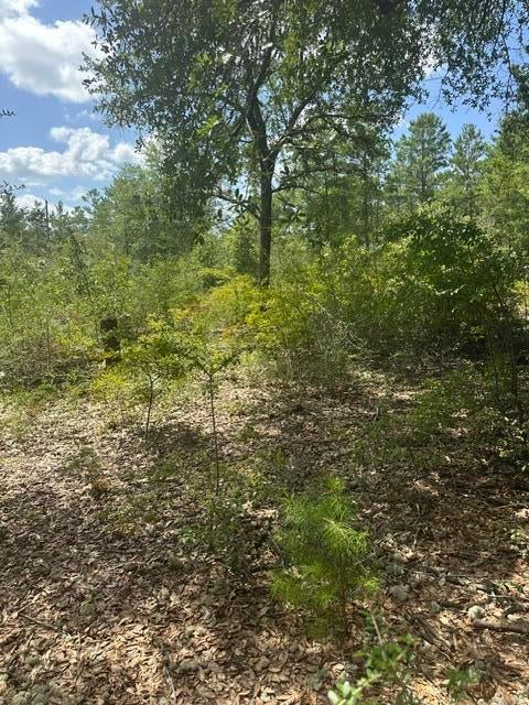 OAKWOOD HILLS UNIT 3 - Land