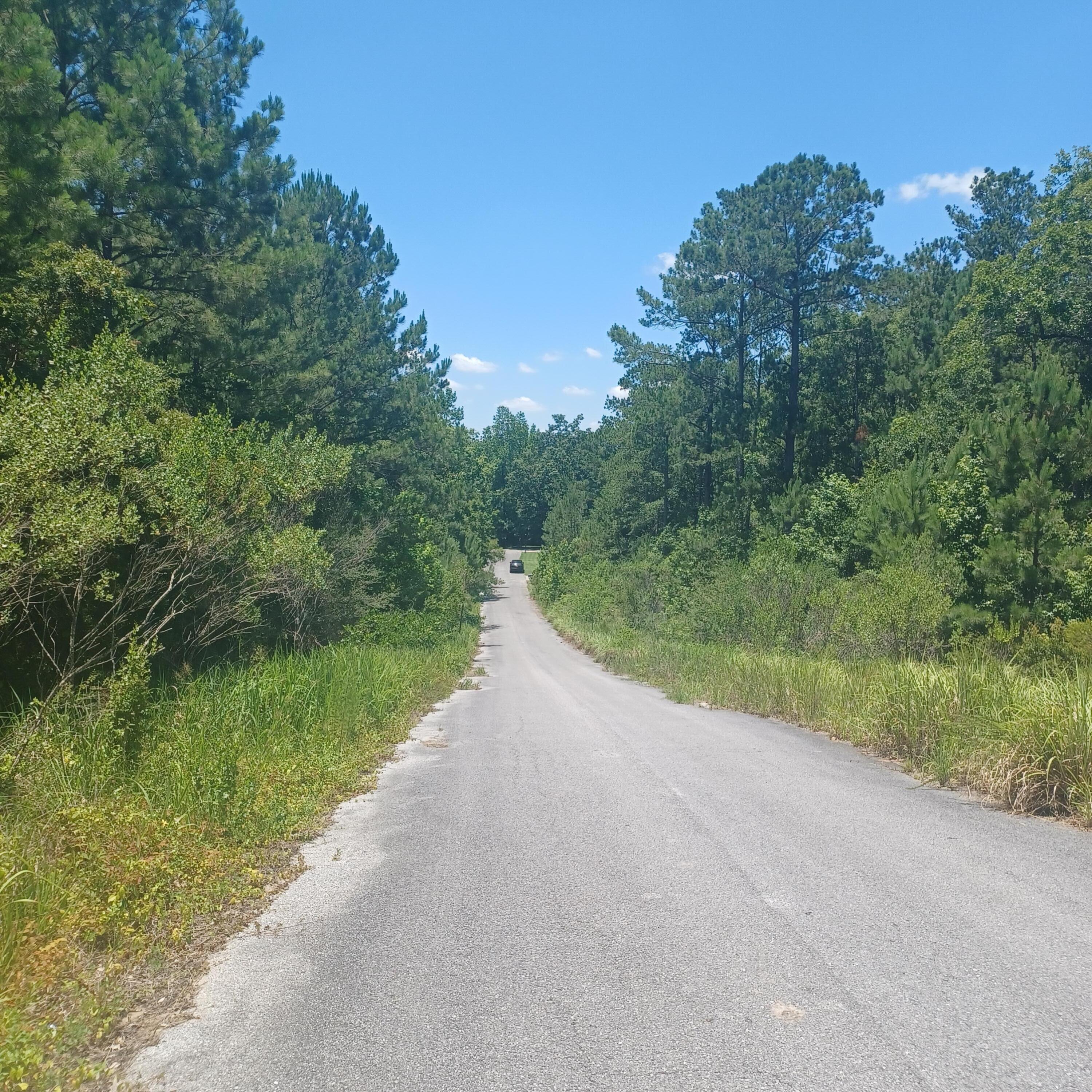 Pleasant Ridge Estates - Land