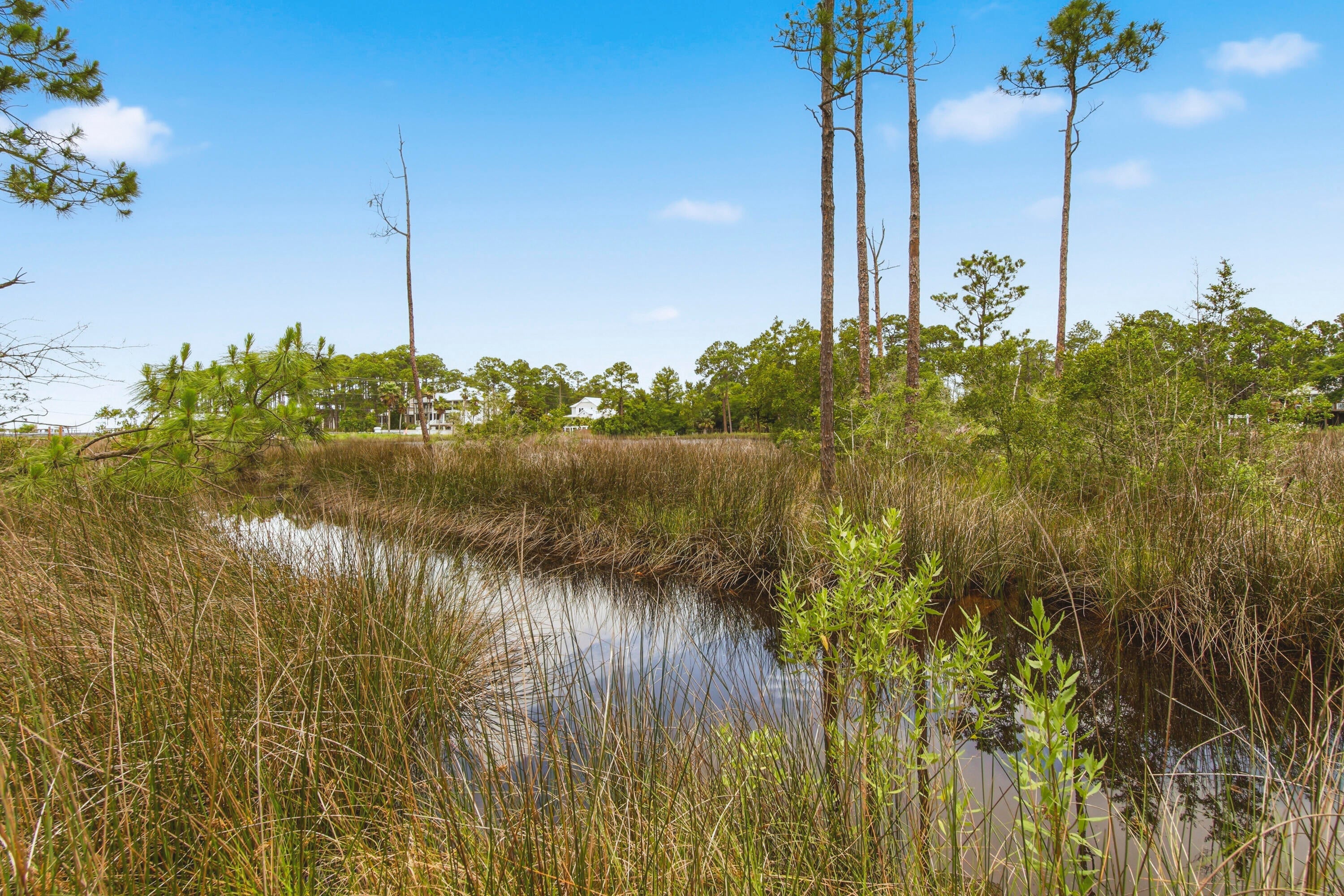 MILLS BAYOU - Land