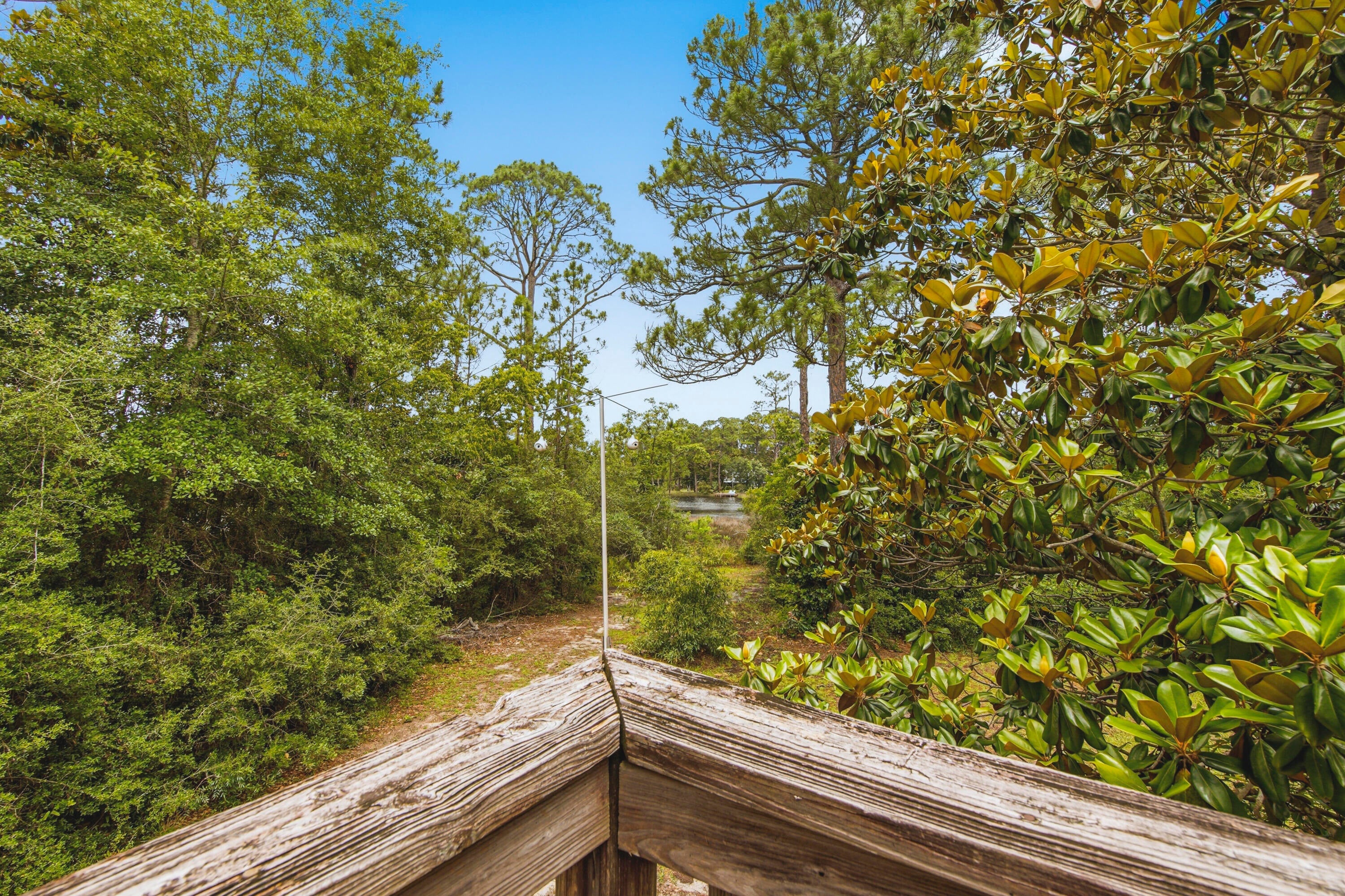 MILLS BAYOU - Land