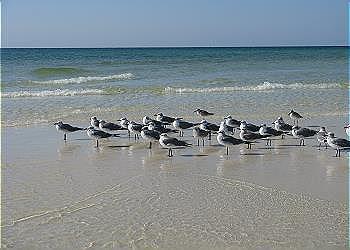 DESTIN WEST GULFSIDE VILLAS - Residential