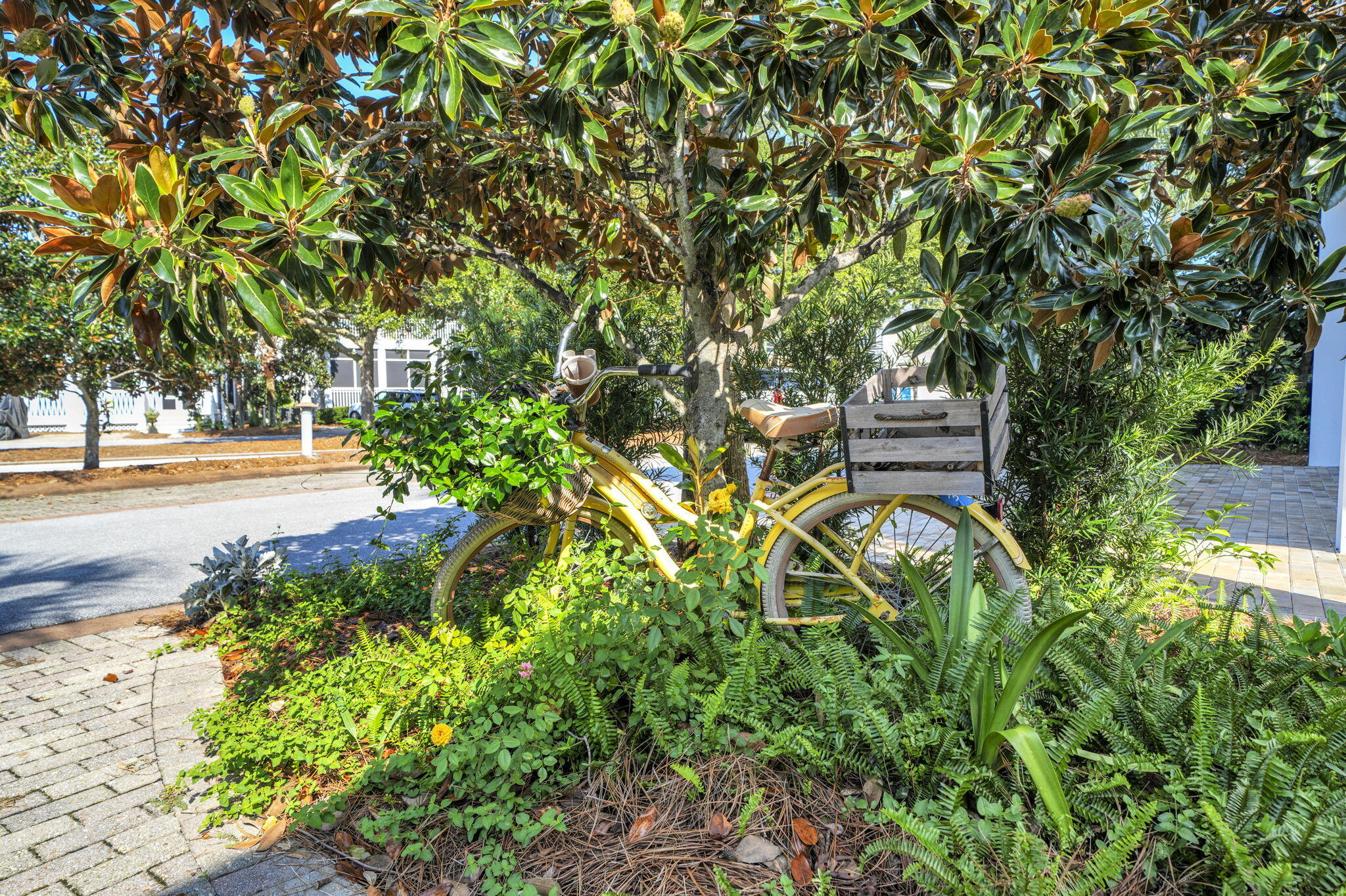 CYPRESS DUNES - Residential