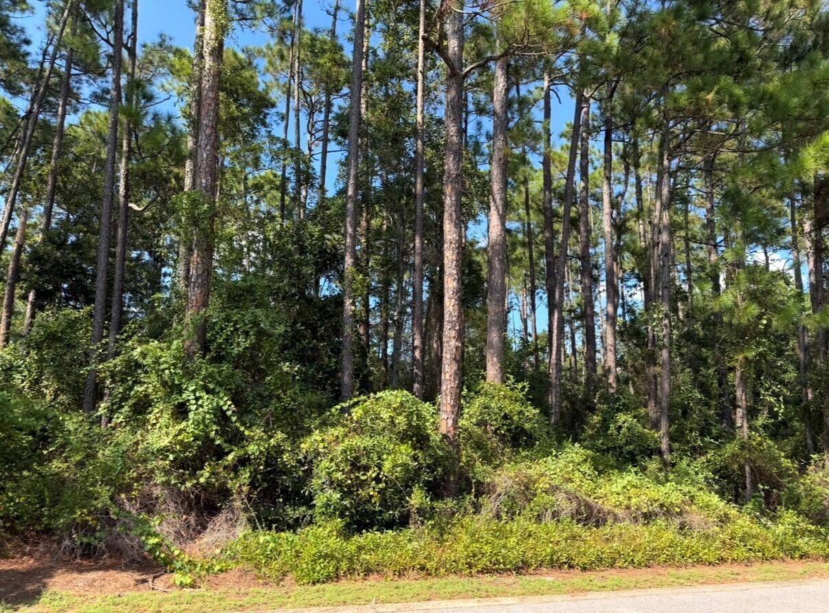 This exceptional lot offers the perfect opportunity to build your dream home in a peaceful coastal setting. Located in the desirable X Flood Zone, providing added peace of mind. Enjoy the convenience of being within walking distance of the bay, while Cessna Landing Park and Boat Launch and Pilcher Park Boat Ramp are just minutes away, making it easy to spend your days on the water. You're also only minutes from Ed Walline Beach Access and the world-famous 30A corridor, where you'll find an incredible selection of shopping, dining, entertainment, and the beautiful white sand beaches that make this area so sought after. The property is also conveniently located near the site of the proposed 10,000-seat amphitheater, an exciting planned addition to the area that could further enhance nearby entertainment and amenities if completed. Whether you're planning a primary residence or second home, this is a rare opportunity to secure one of the last available parcels in this desirable community.