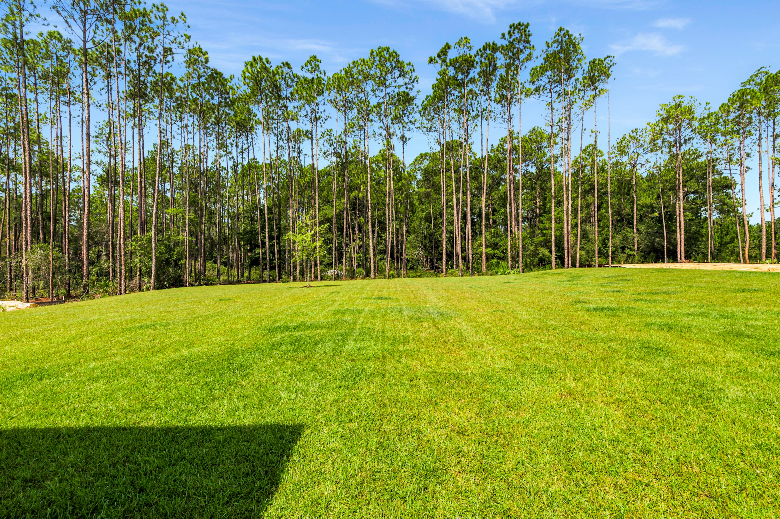 WINDSWEPT ESTATES - Residential