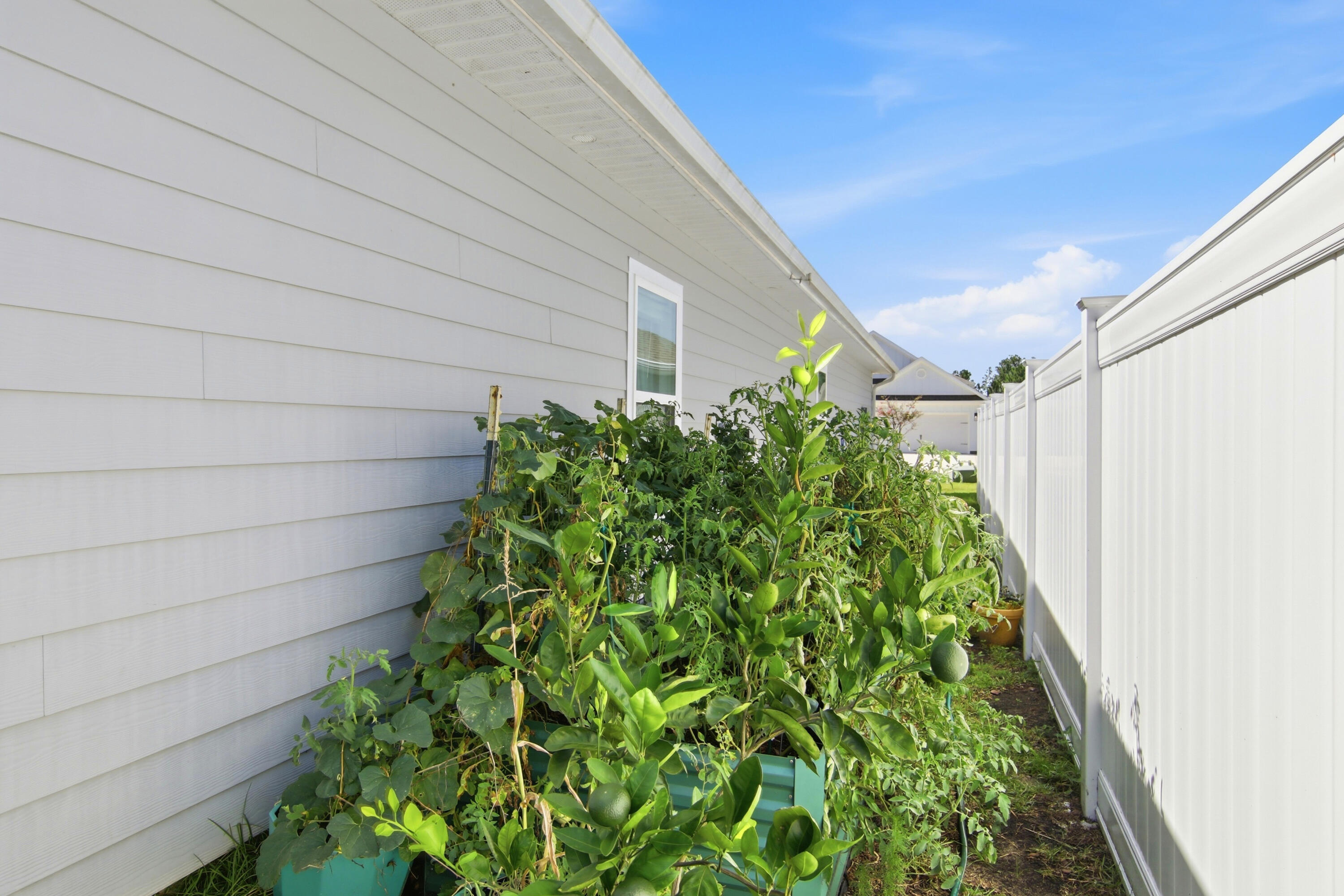 Waltons Landing - Residential