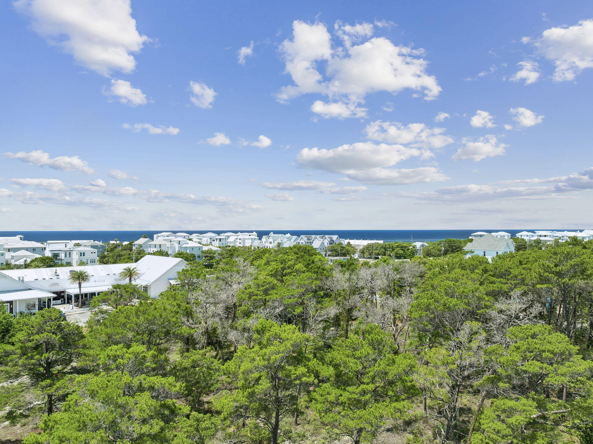 Inlet Beach - Land
