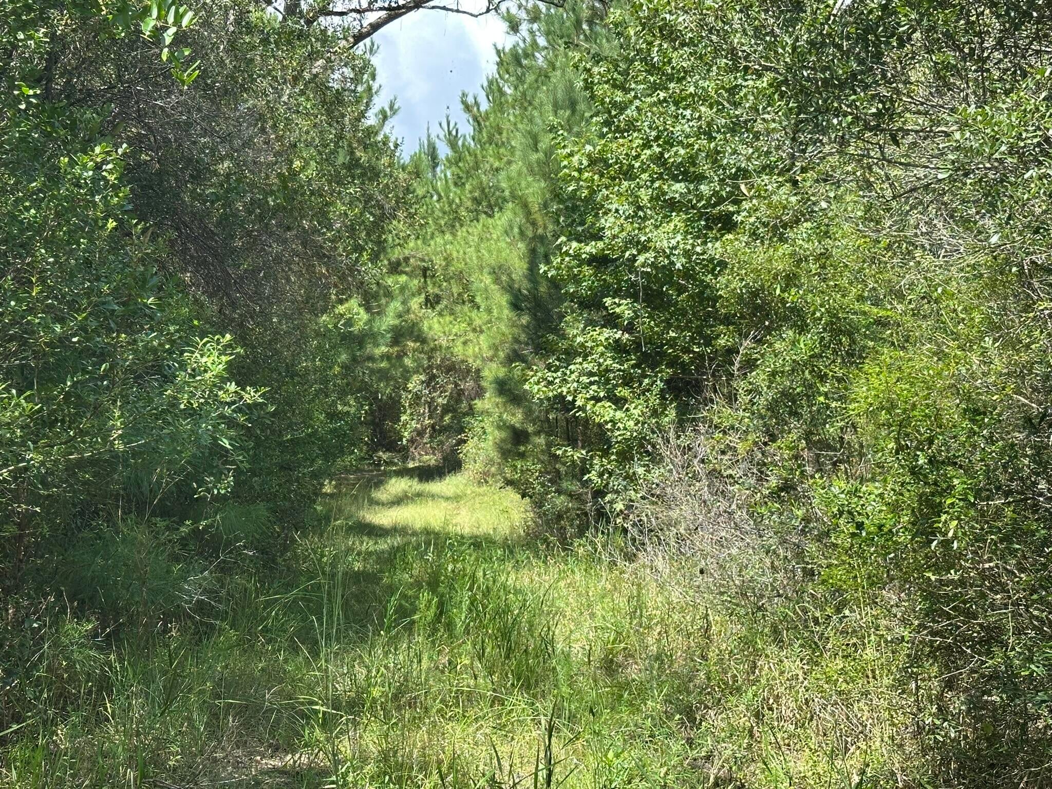 NO RECORDED SUBDIVISION - Land