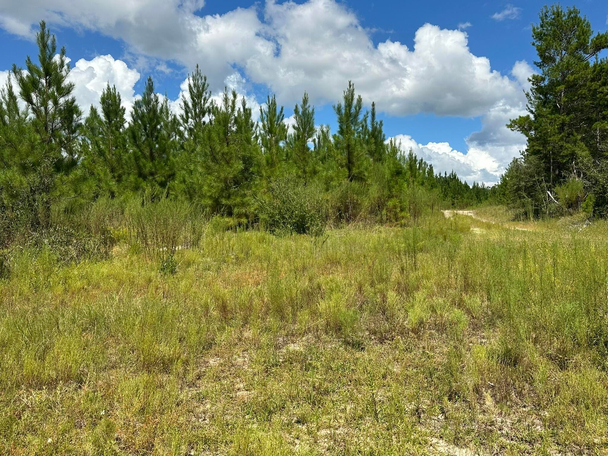 NO RECORDED SUBDIVISION - Land