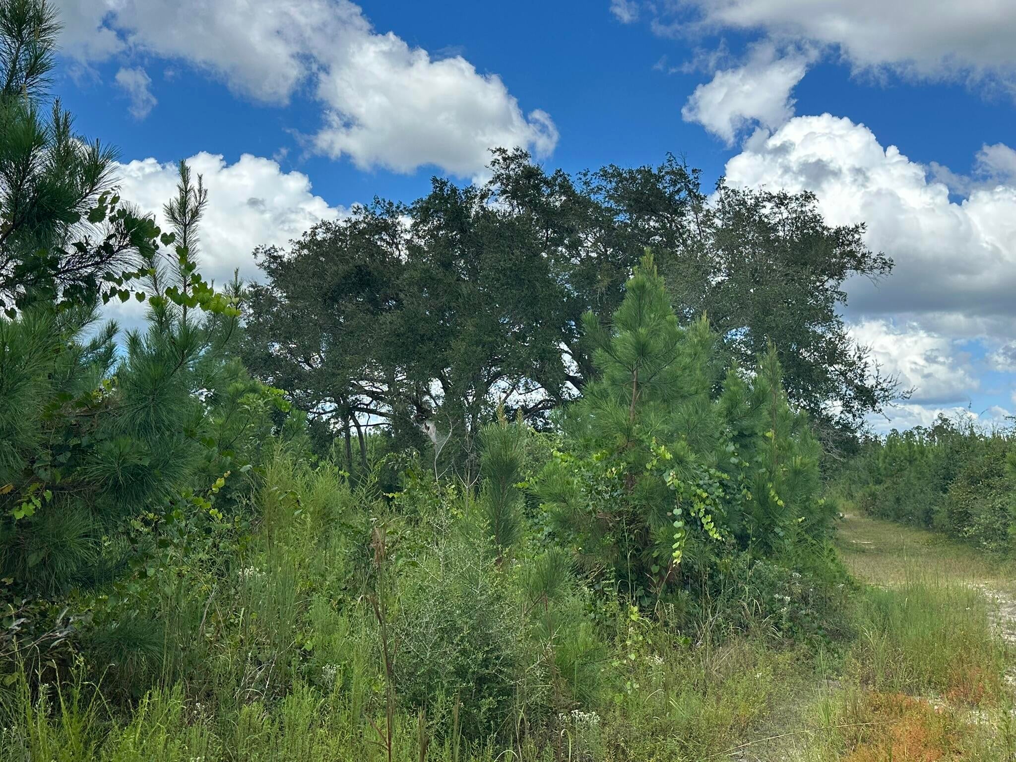 NO RECORDED SUBDIVISION - Land