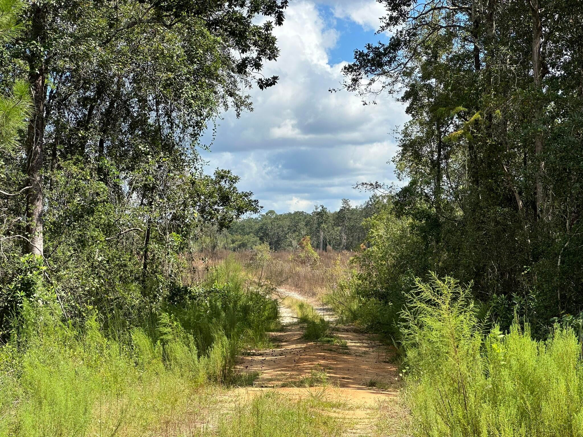 NO RECORDED SUBDIVISION - Land