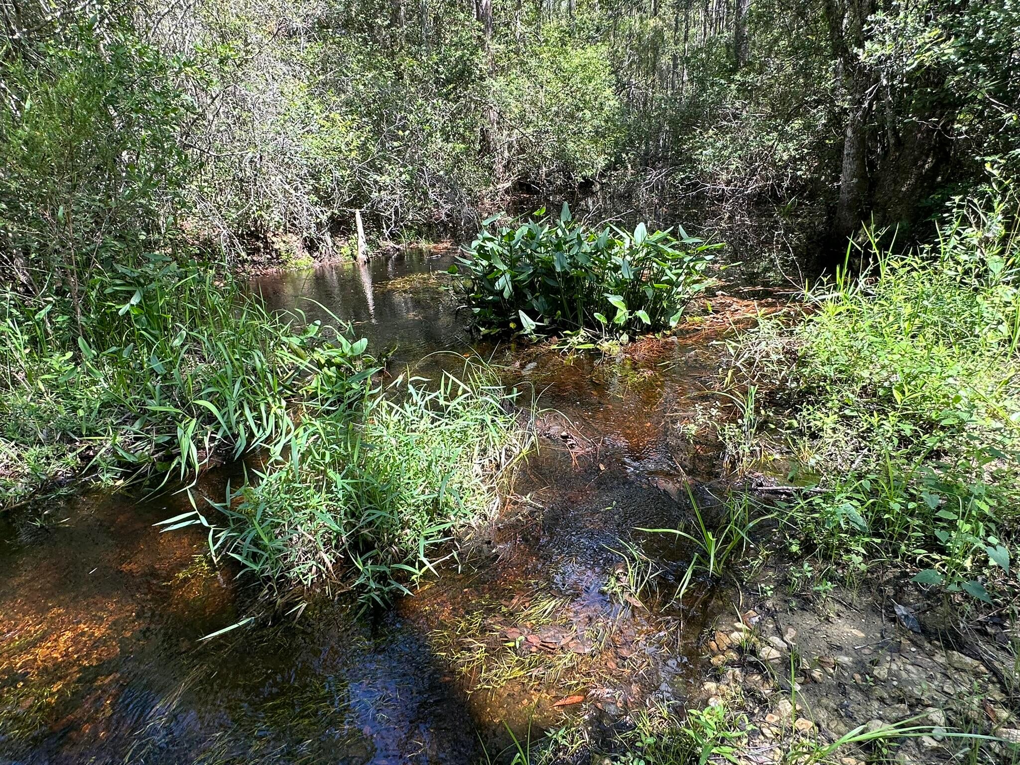 NO RECORDED SUBDIVISION - Land