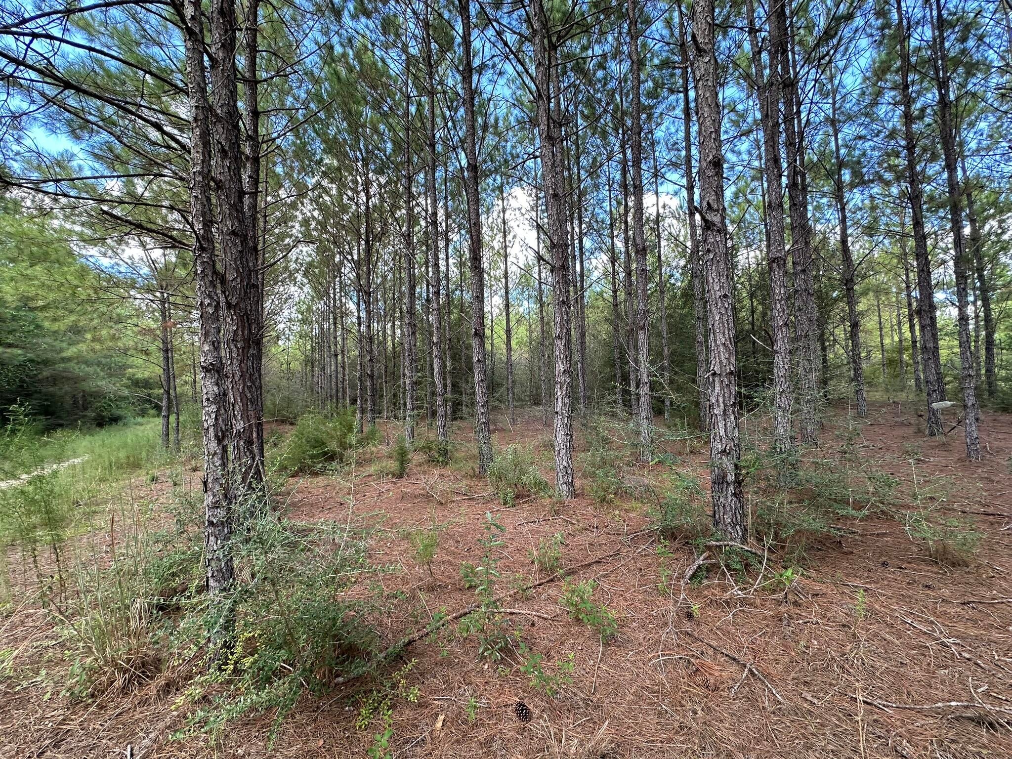 NO RECORDED SUBDIVISION - Land