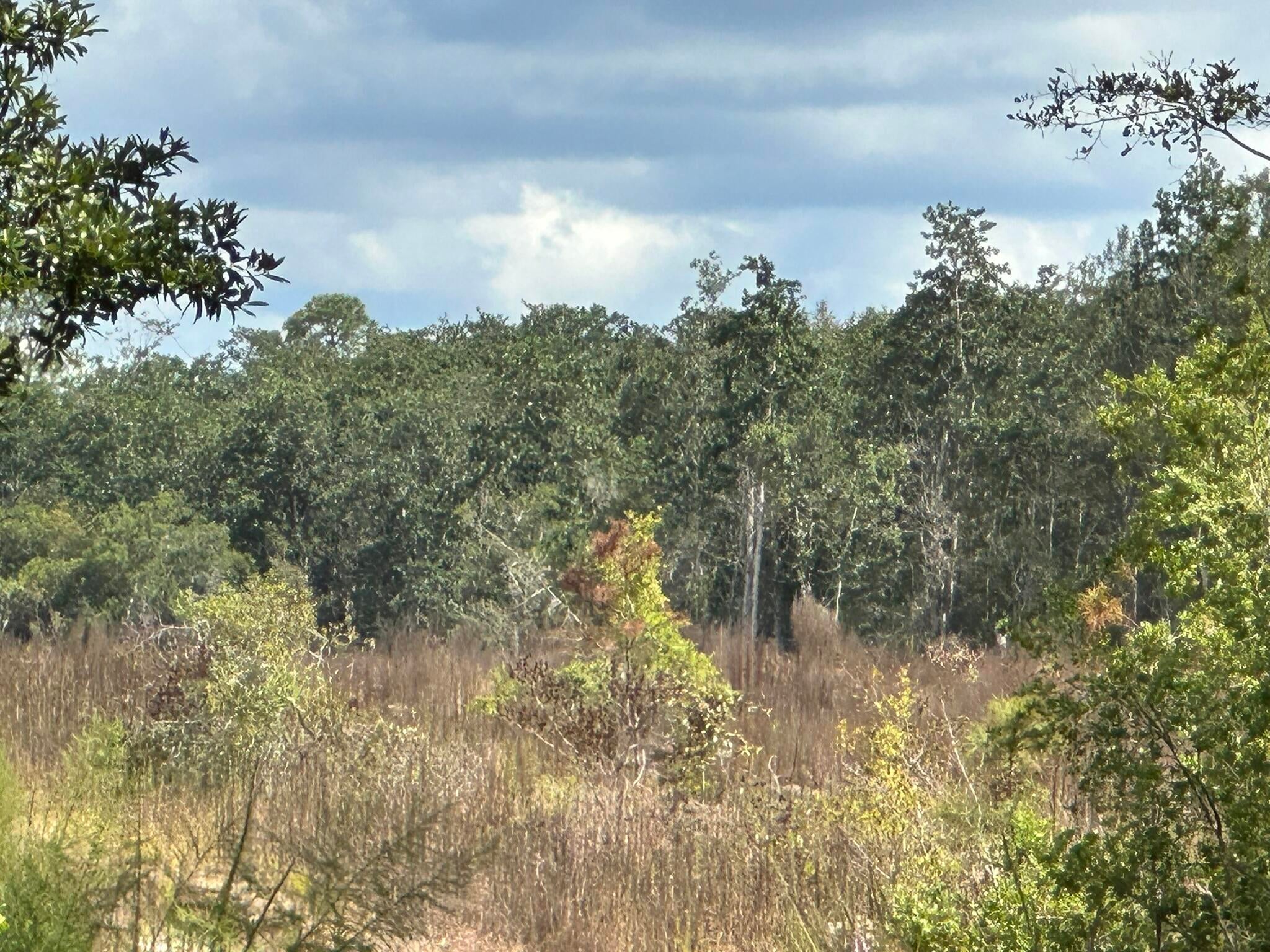 NO RECORDED SUBDIVISION - Land