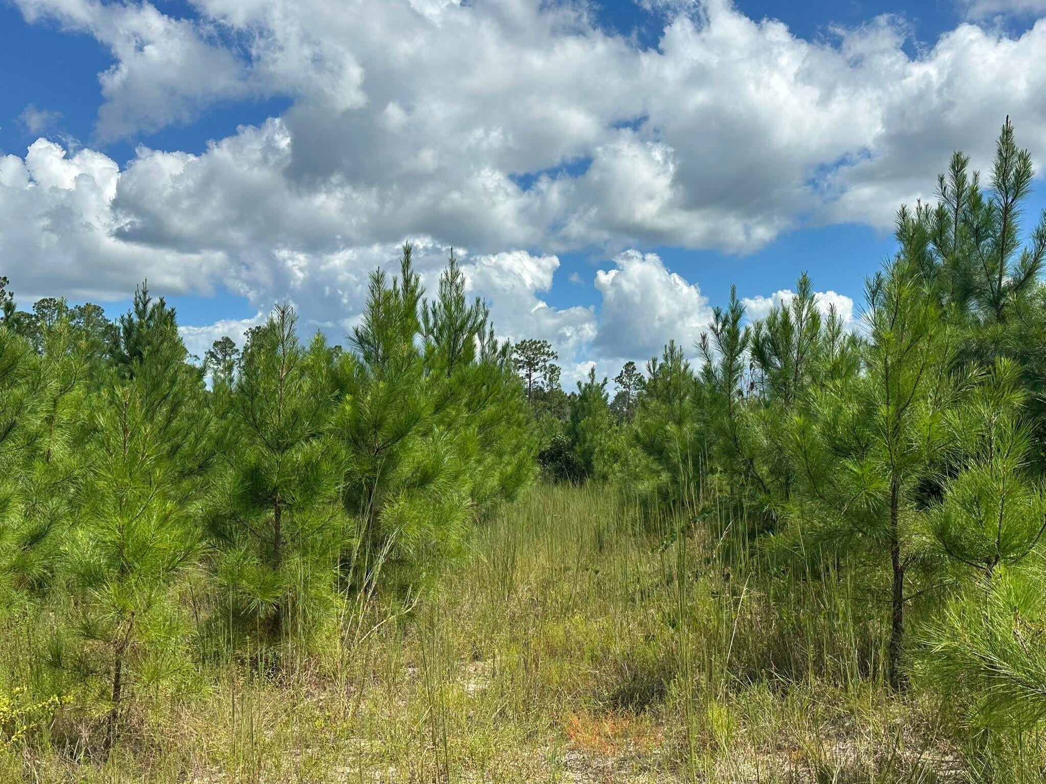 NO RECORDED SUBDIVISION - Land
