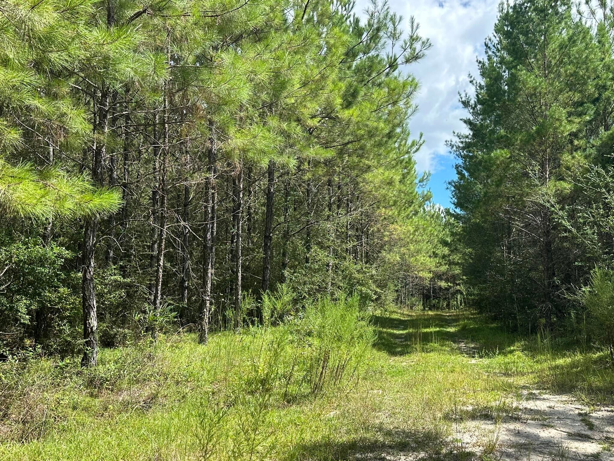 NO RECORDED SUBDIVISION - Land