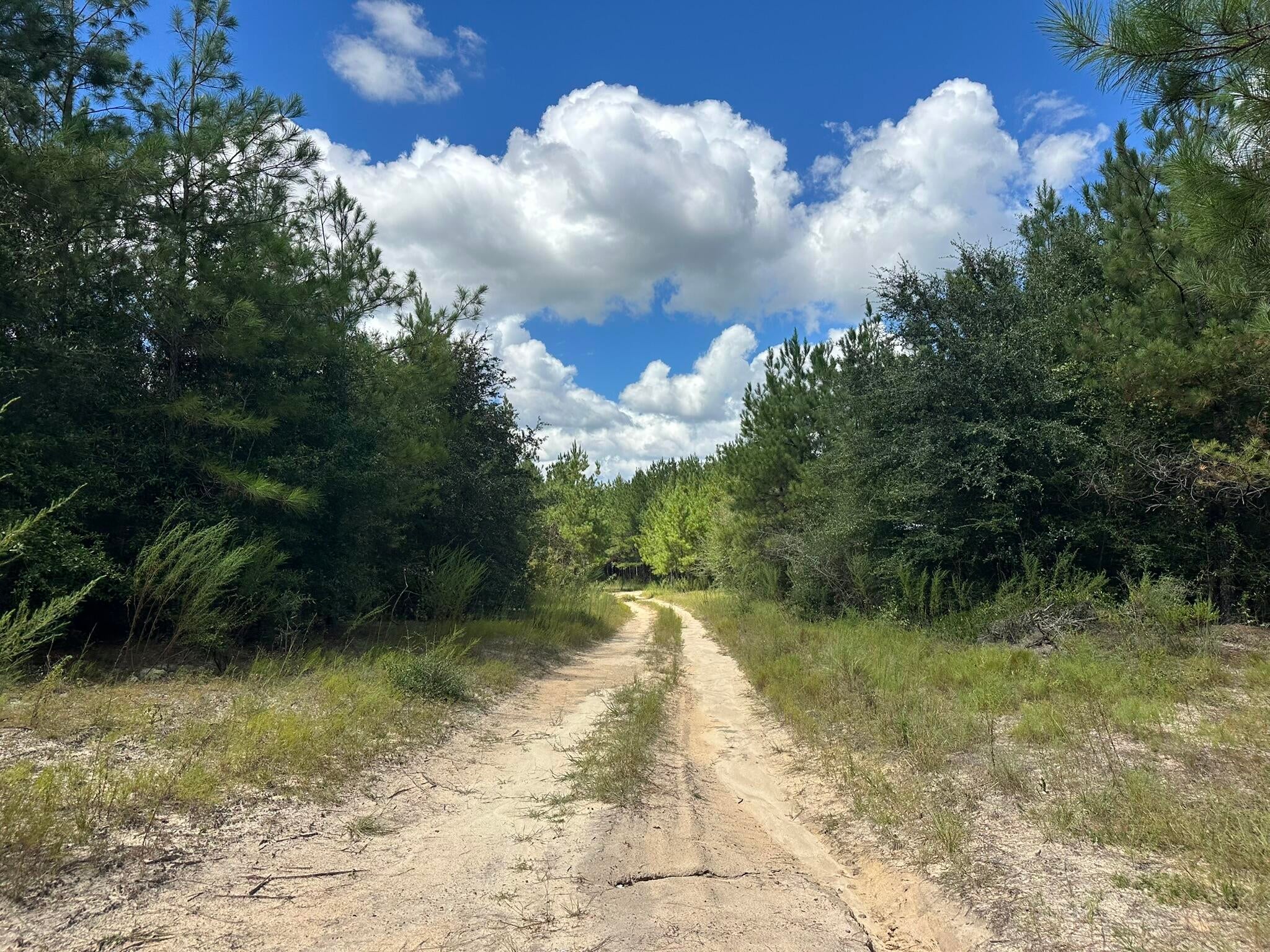 NO RECORDED SUBDIVISION - Land