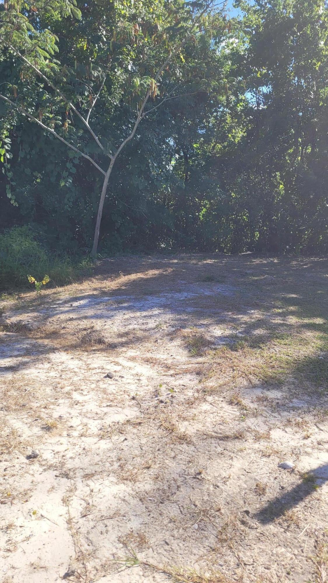 SPRINGFEILD FL - Residential