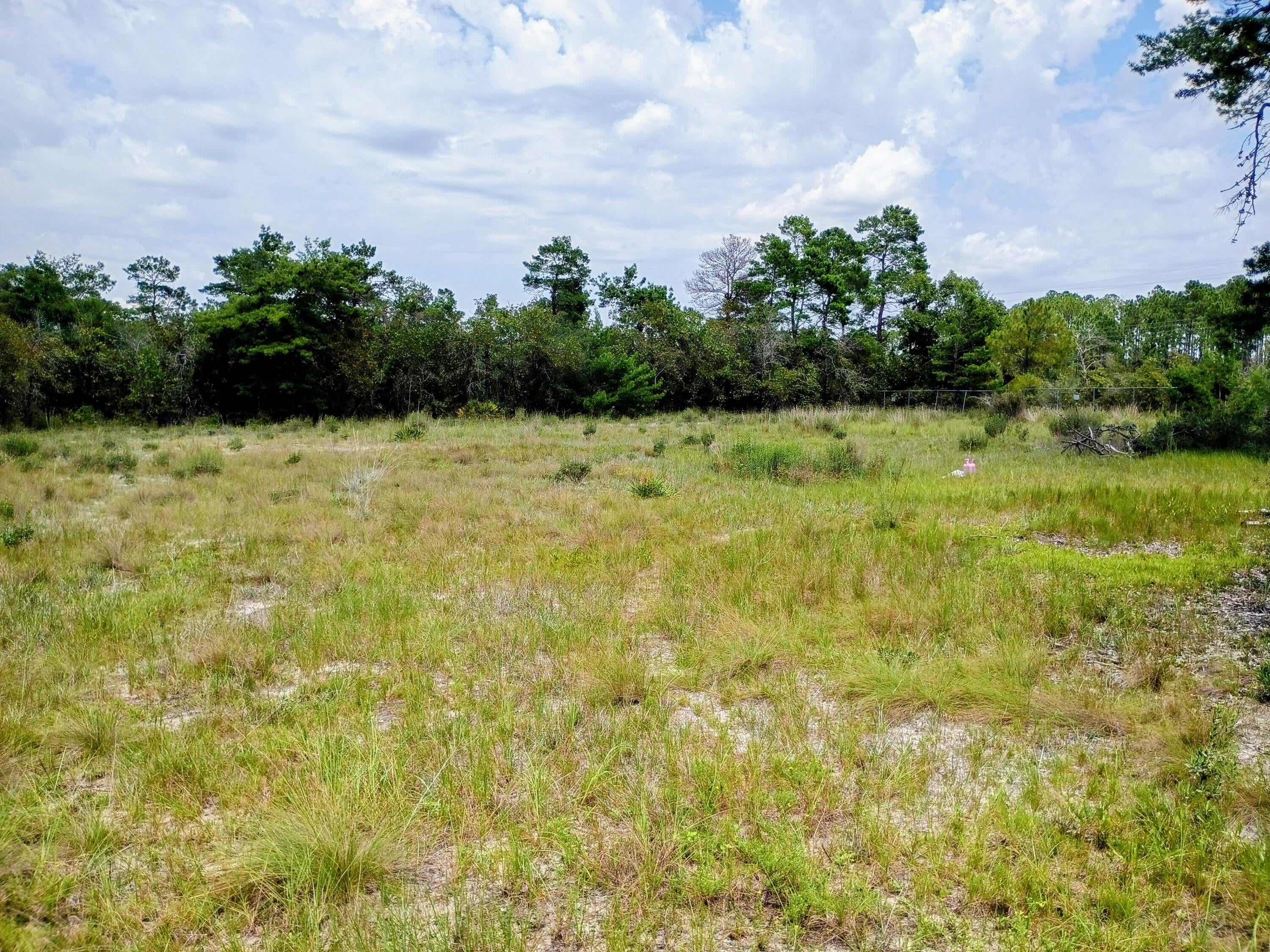 VACANT LAND 4 ACRES. Just N of the golf course but no HOA and a new street is coming in that will connect directly to Hwy 20 . No neighbors north or east
13 minutes to Freeport
 Space. Freedom. Shoot your gun... have a goat. Play your harmonica and build an avalanche of water from your well so you can shower outside.
SURVEY is included under documents.

Or if your buyer wants a home look no further BEST Priced home in Freeport 6200 Sq feet on 3 ACRES 79.00 /ft  or over 200/ft to build. She's a very comfortable fixer upper.  Build your dream home on this beautiful 4 acre parcel located on Veterans Lane in Freeport, Florida. Offering a peaceful setting with plenty of space and privacy, this vacant residential property provides the perfect opportunity to create a private estate, weekend retreat, or future investment. Surrounded by the natural beauty of Walton County, the property offers a quiet atmosphere while still being conveniently located near Freeport, the beaches of South Walton, shopping, dining, and outdoor recreation. Create an estate, workshop, outdoor living space, or additional improvements. Whether you're looking to build now or hold for future value, this property offers flexibility and potential in one of Northwest Florida's growing areas.  Buyer to verify all information, zoning, land use, utilities, and building requirements.