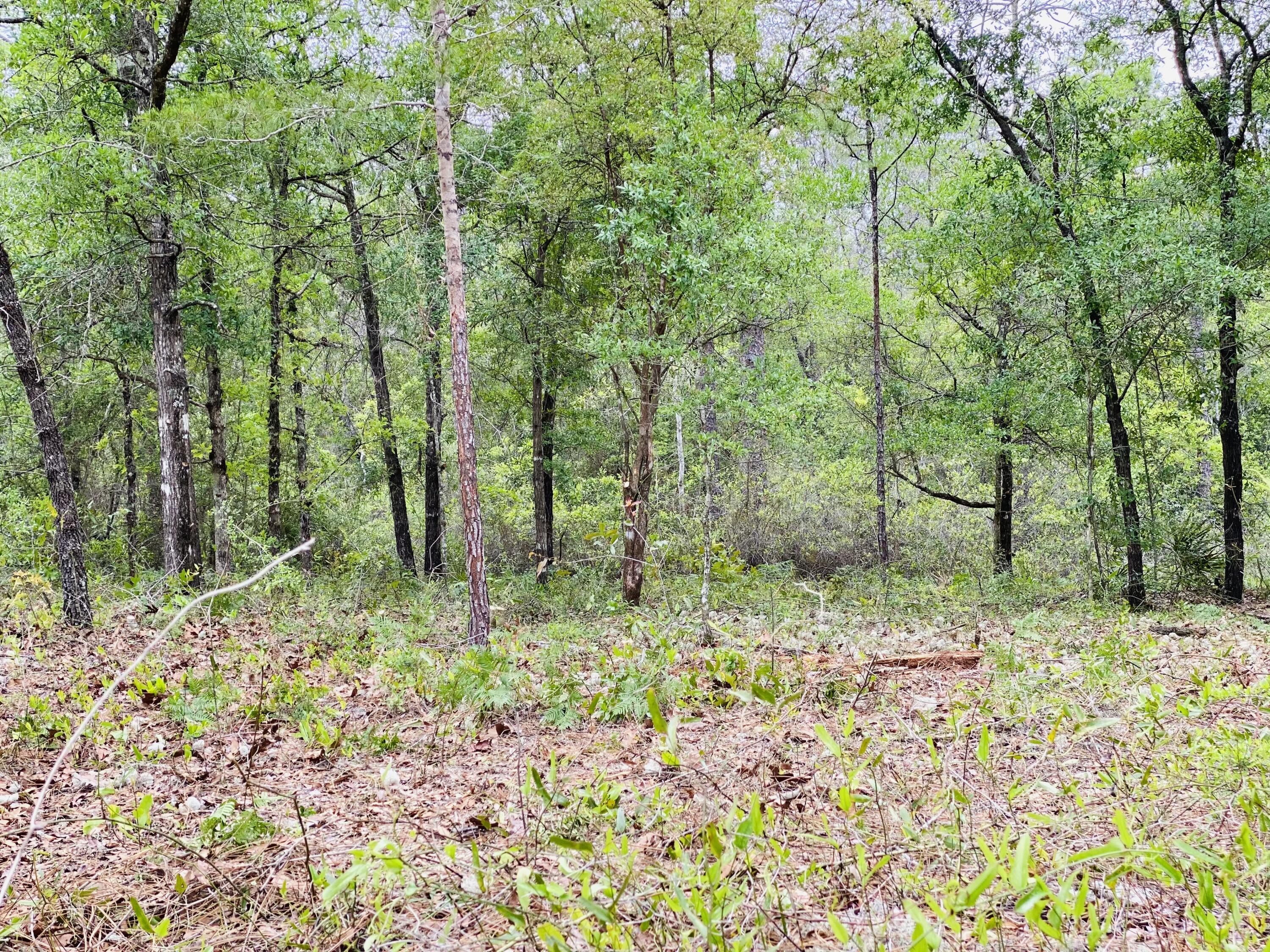 Nestled at the end of a quiet cul-de-sac, this .34-acre lot offers a great opportunity in a growing area with continued development nearby. The location provides added privacy with minimal through traffic while still being convenient to surrounding amenities. Whether you're planning to build in the future or looking to invest in land in an expanding area, this property offers plenty of potential.