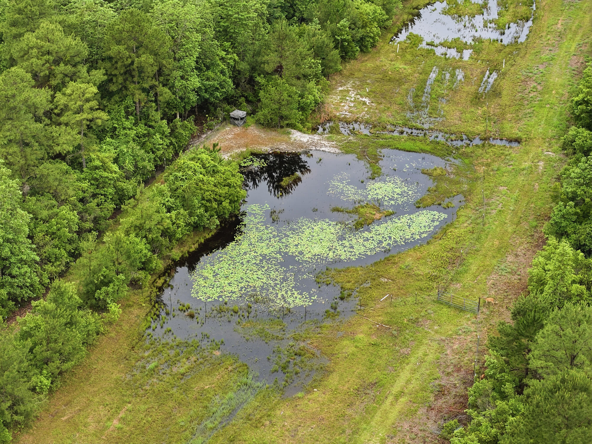 NO RECORDED SUBDIVISION - Residential