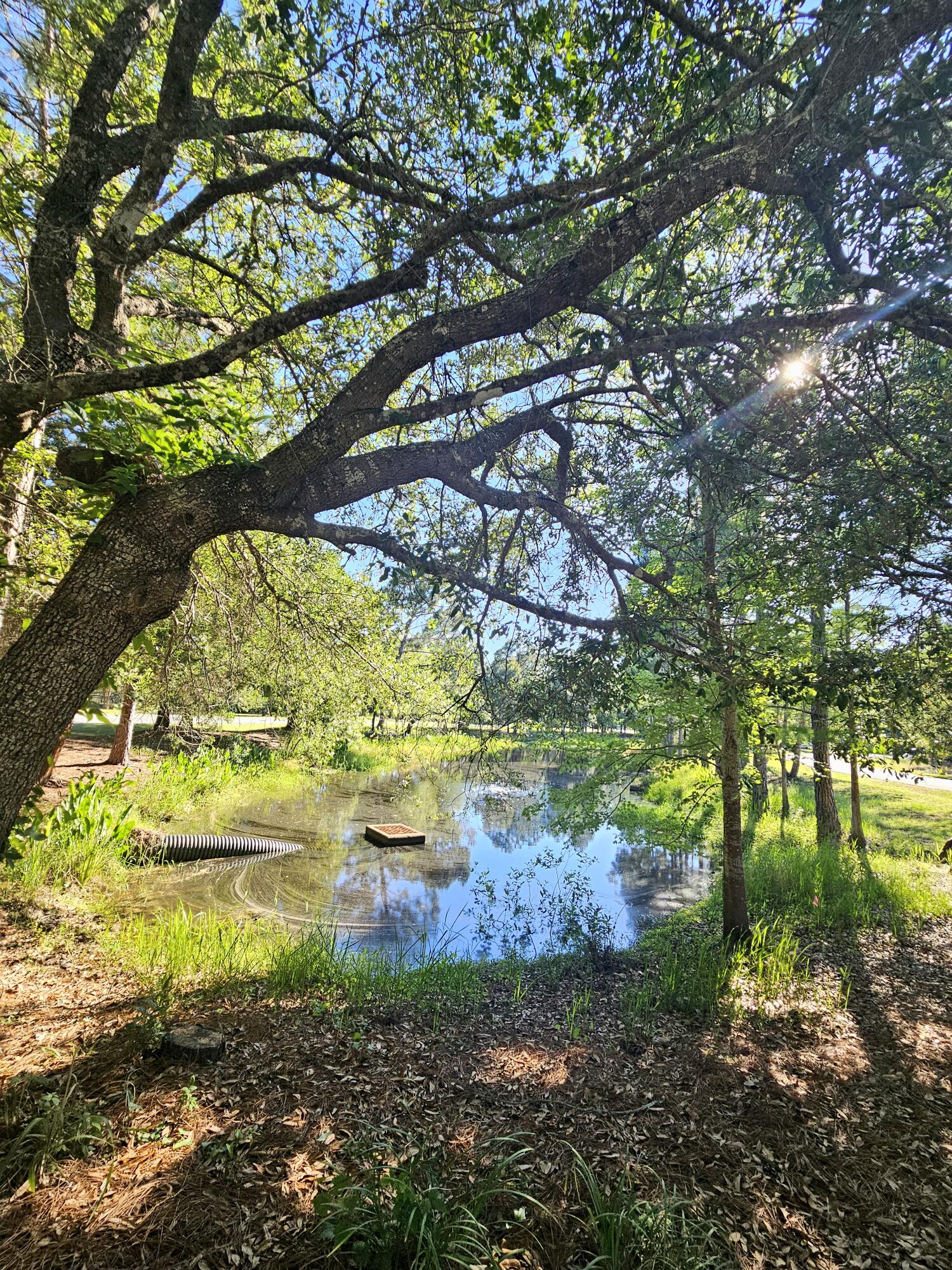 Best lot in Wild Heron Exceptional views of the pond and great location with proximity to the gate. 
Build your custom dream home on this spacious 0.54-acre corner homesite in the prestigious gated community of Wild Heron. Ideally positioned near the community entrance, this unique lot fronts multiple streets and backs to a natural preserve, offering outstanding building flexibility, added privacy, and serene green views. With no neighboring homes directly abutting the property, this homesite provides a rare sense of space and seclusion.

Nestled within the 732-acre coastal sanctuary of Wild Heron on Lake Powell, residents enjoy access to some of the area's finest amenities, including the Greg Norman-designed Shark's Tooth Golf Club, resort-style pool and hot tub, fitness center, lakeside grills, fire pit, playground, scenic boardwalks, and the Boathouse at Prospect Point with kayaks and canoes available for resident use.

Conveniently located just minutes from the white-sand beaches of the Gulf, 30A, Pier Park, dining, shopping, and outdoor recreation, this is a rare opportunity to build in one of Panama City Beach's premier gated communities.