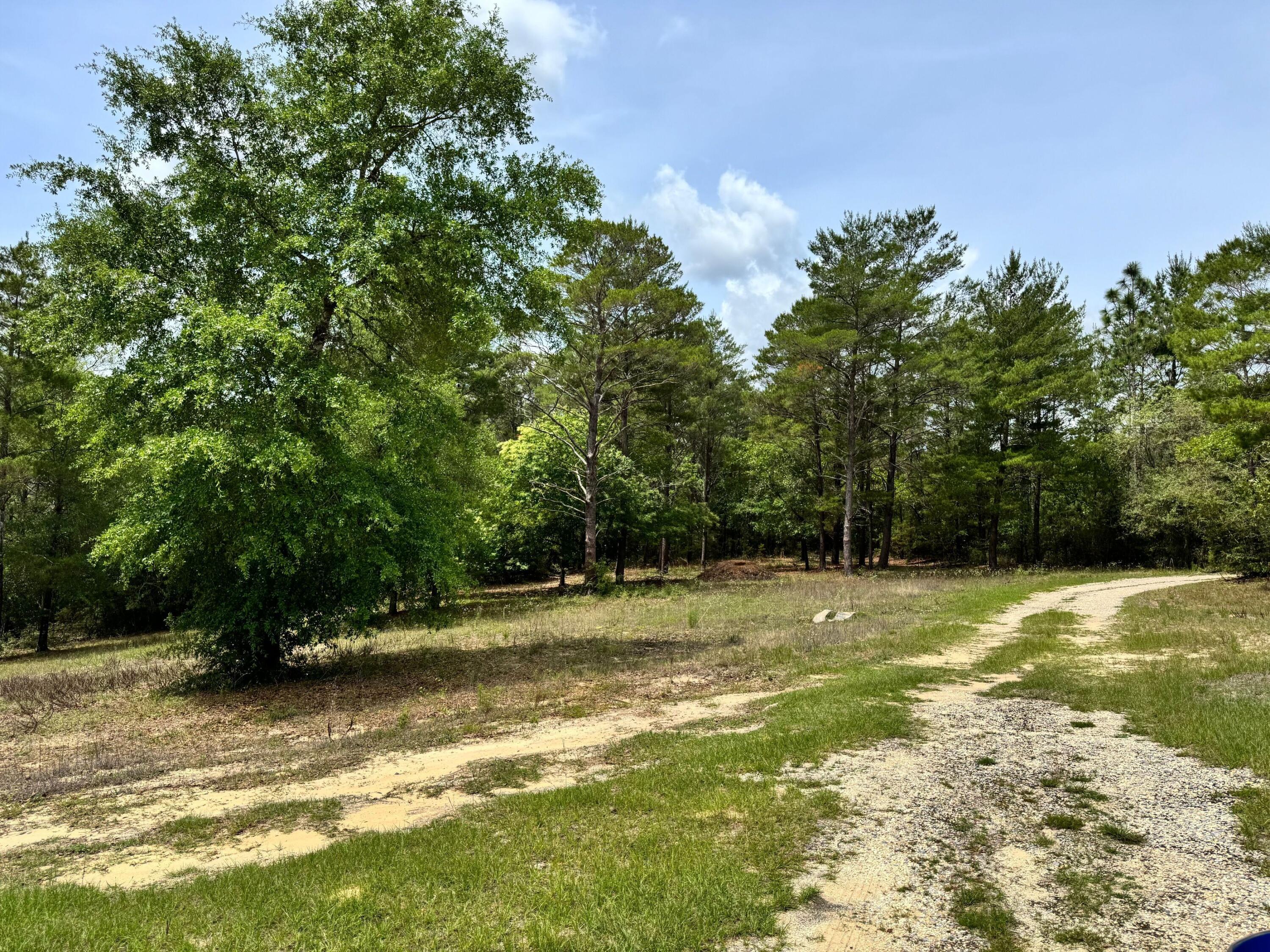 HINOTE COMMONS - Land