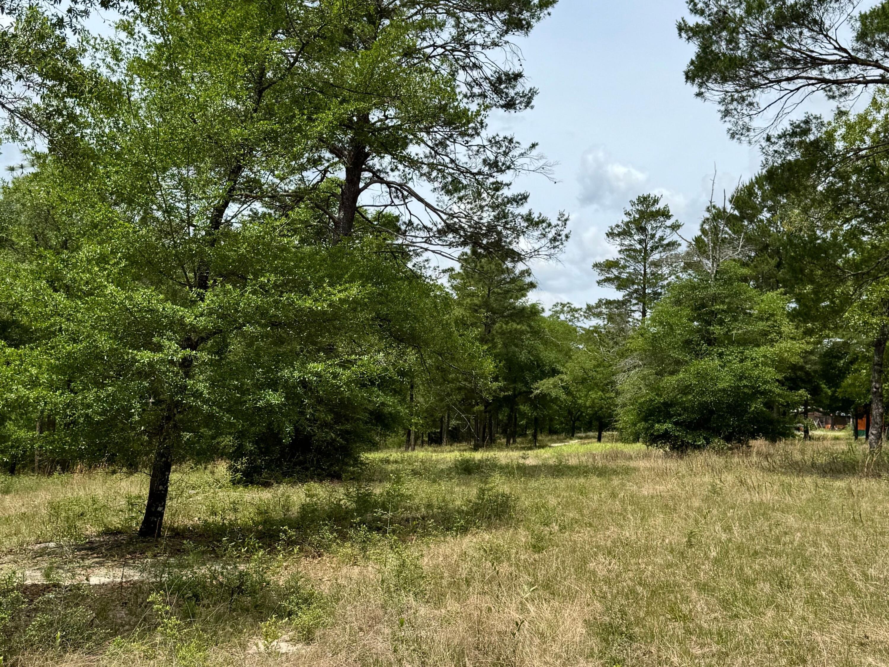 HINOTE COMMONS - Land