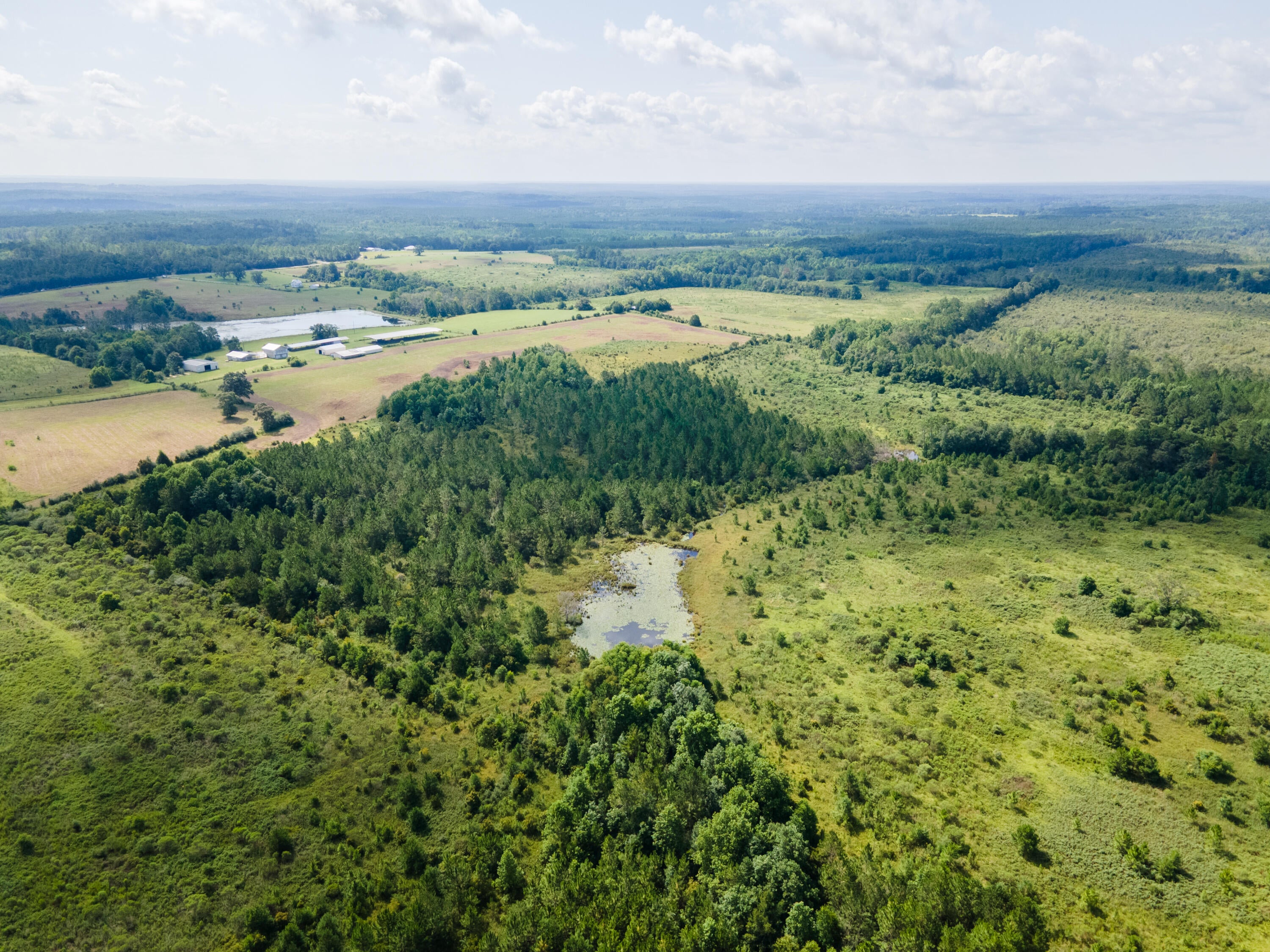 ## PARCEL 13 -- 95.94 AC -- $767,520

95.94 acres of AG-zoned land on Campbell Rd in Walton County -- one of the two large-acreage tracts in the subdivision. Access is via a shared easement/drive with Parcel 12. Electric service is available along the road; the land is raw, with no existing well or septic. The terrain and scale suit a recreational tract, agricultural use, or investment hold. Located minutes from downtown Defuniak Springs, close to Ponce de Leon Springs State Park, and about 45 minutes from the beaches of South Walton.