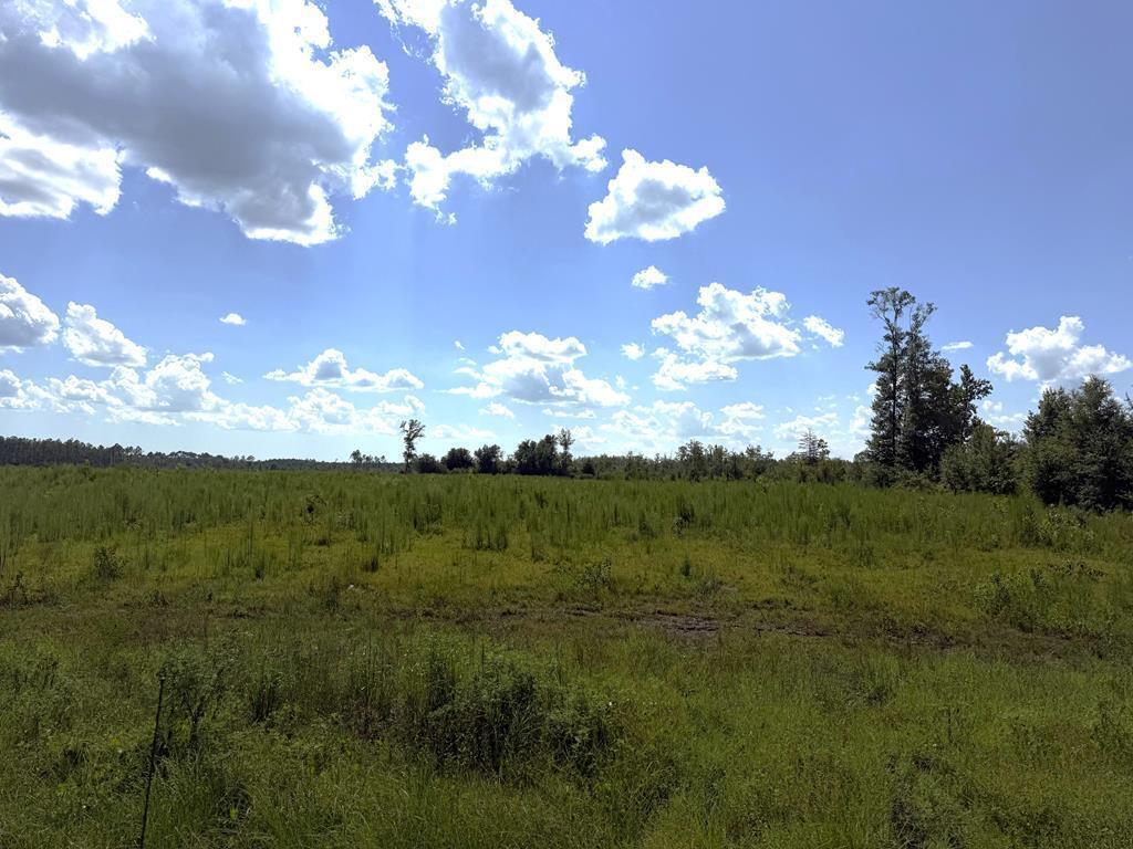 Over two acres just 2 miles south of Wewahitchka with many possibilities. City water is adjacent to the property and other parcels are available as well. A rare opportunity to have substantial acreage at a great price near the city. Some photos are of the entire parent tract for reference only. Please see highlighted approved plat for dimensions.