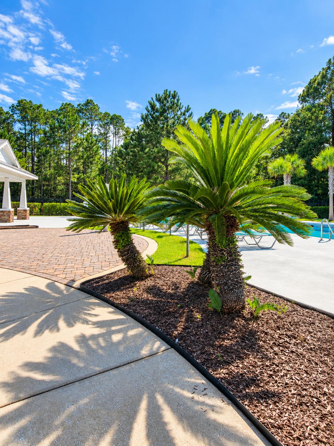 VERANDAS AT FREEPORT - Residential
