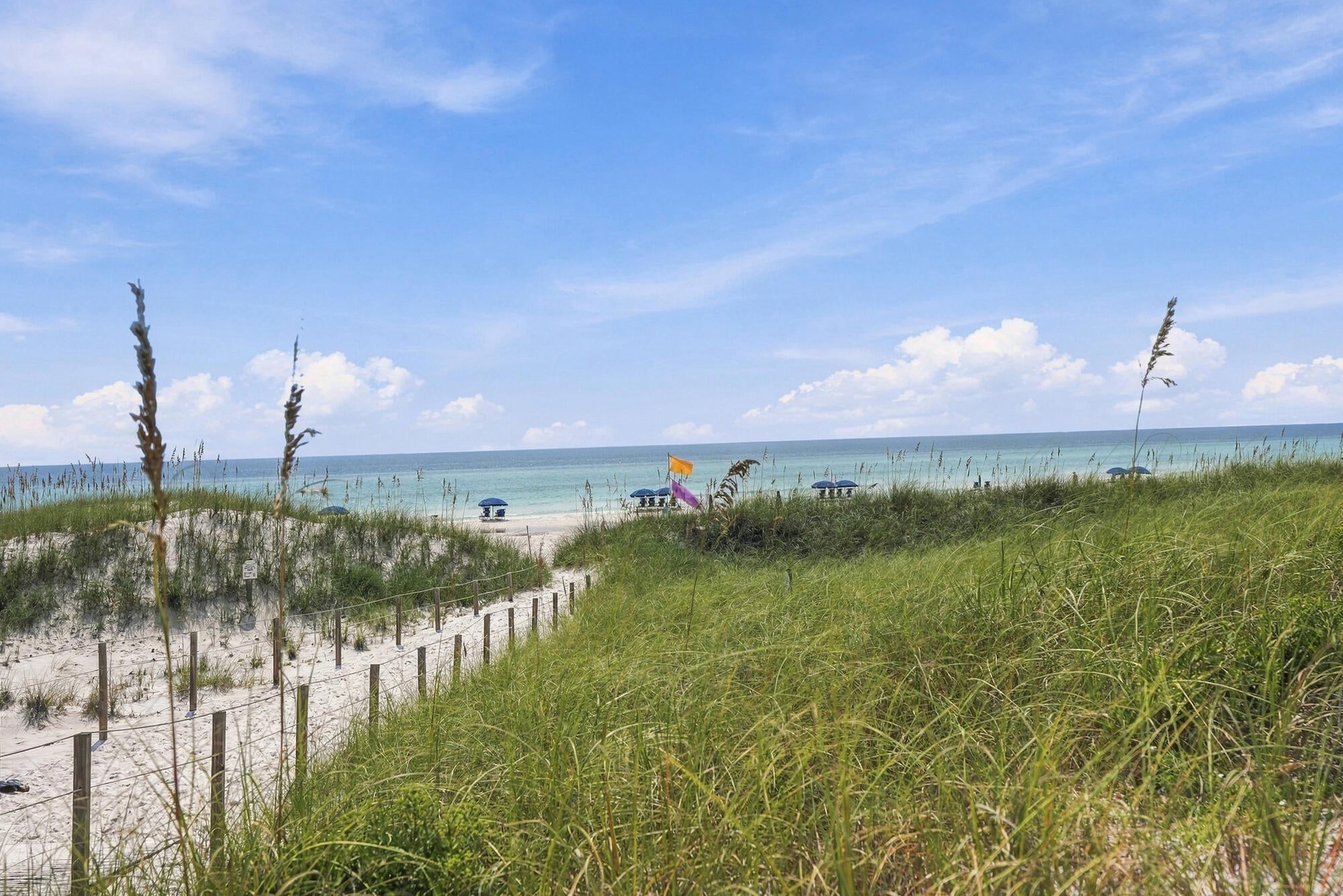 THE PRESERVE AT GRAYTON BEACH - Residential