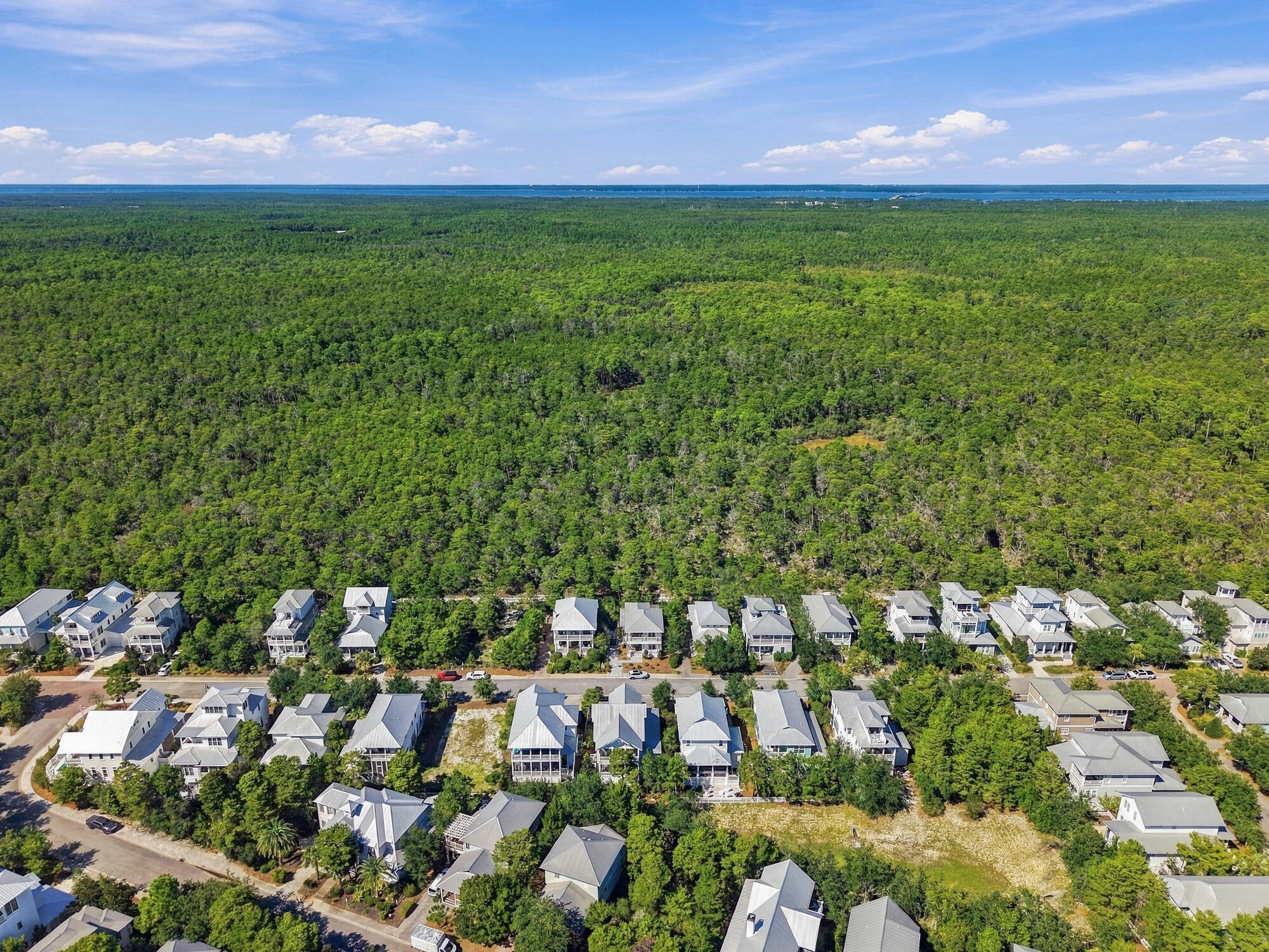 THE PRESERVE AT GRAYTON BEACH - Residential