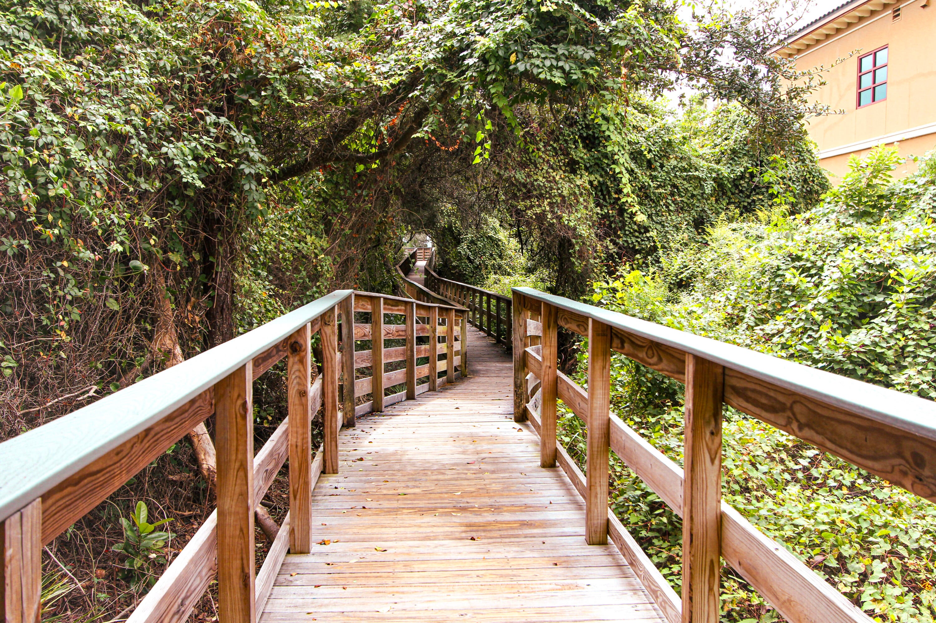 THE PRESERVE AT GRAYTON BEACH - Residential