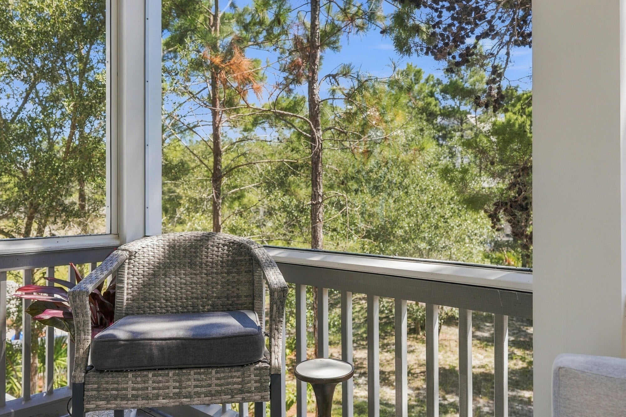 THE PRESERVE AT GRAYTON BEACH - Residential