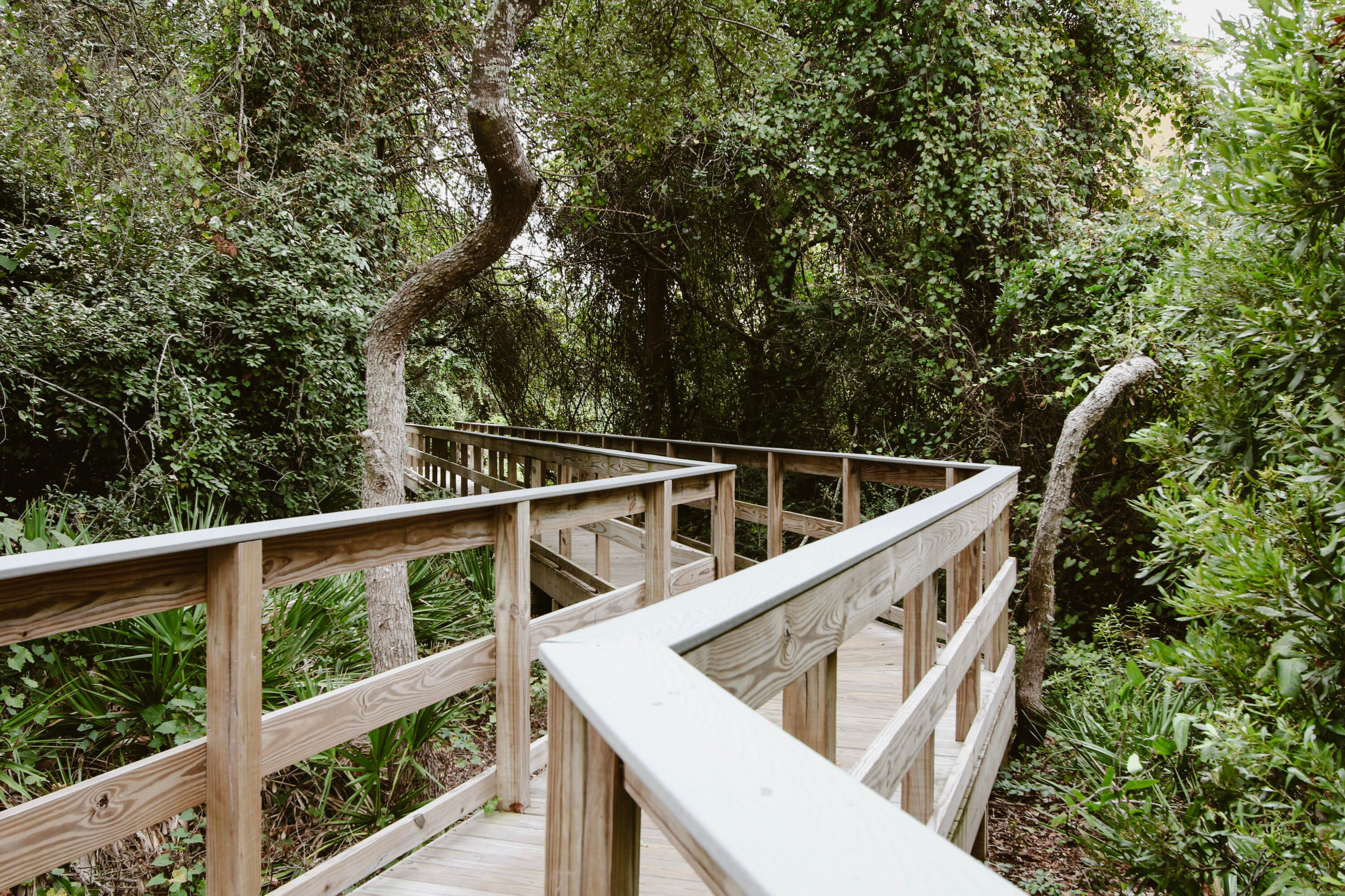 THE PRESERVE AT GRAYTON BEACH - Residential
