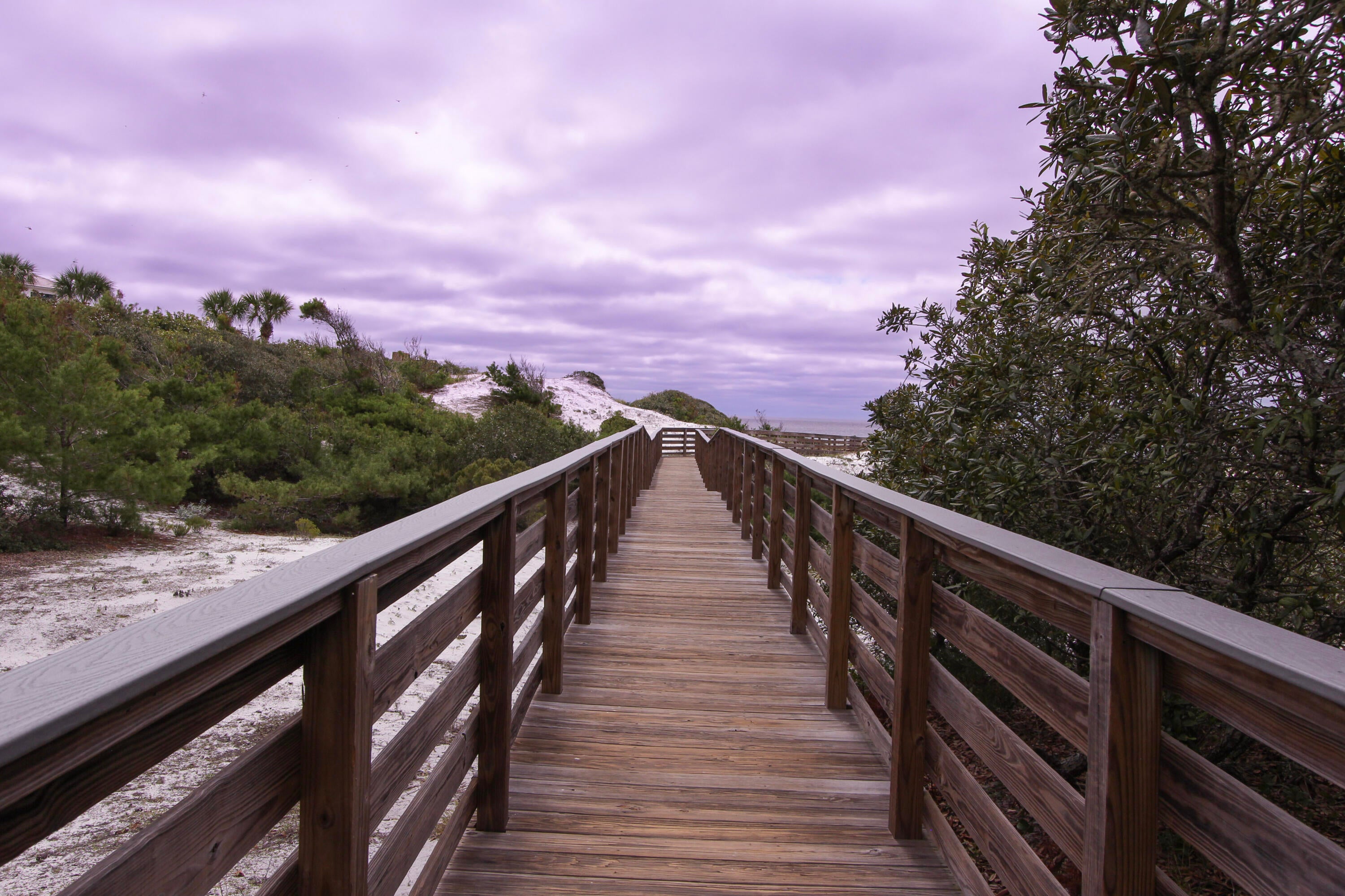 THE PRESERVE AT GRAYTON BEACH - Residential