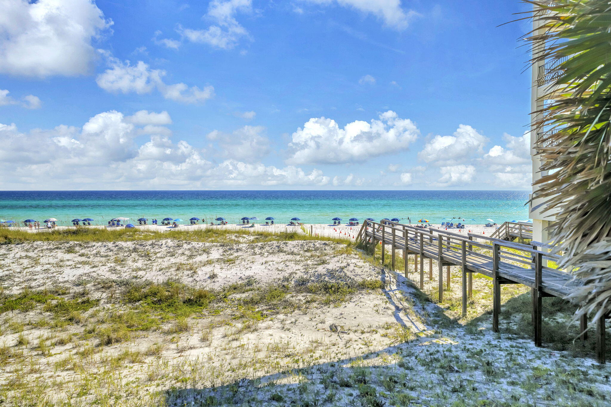 BEACH POINTE T/H - Residential