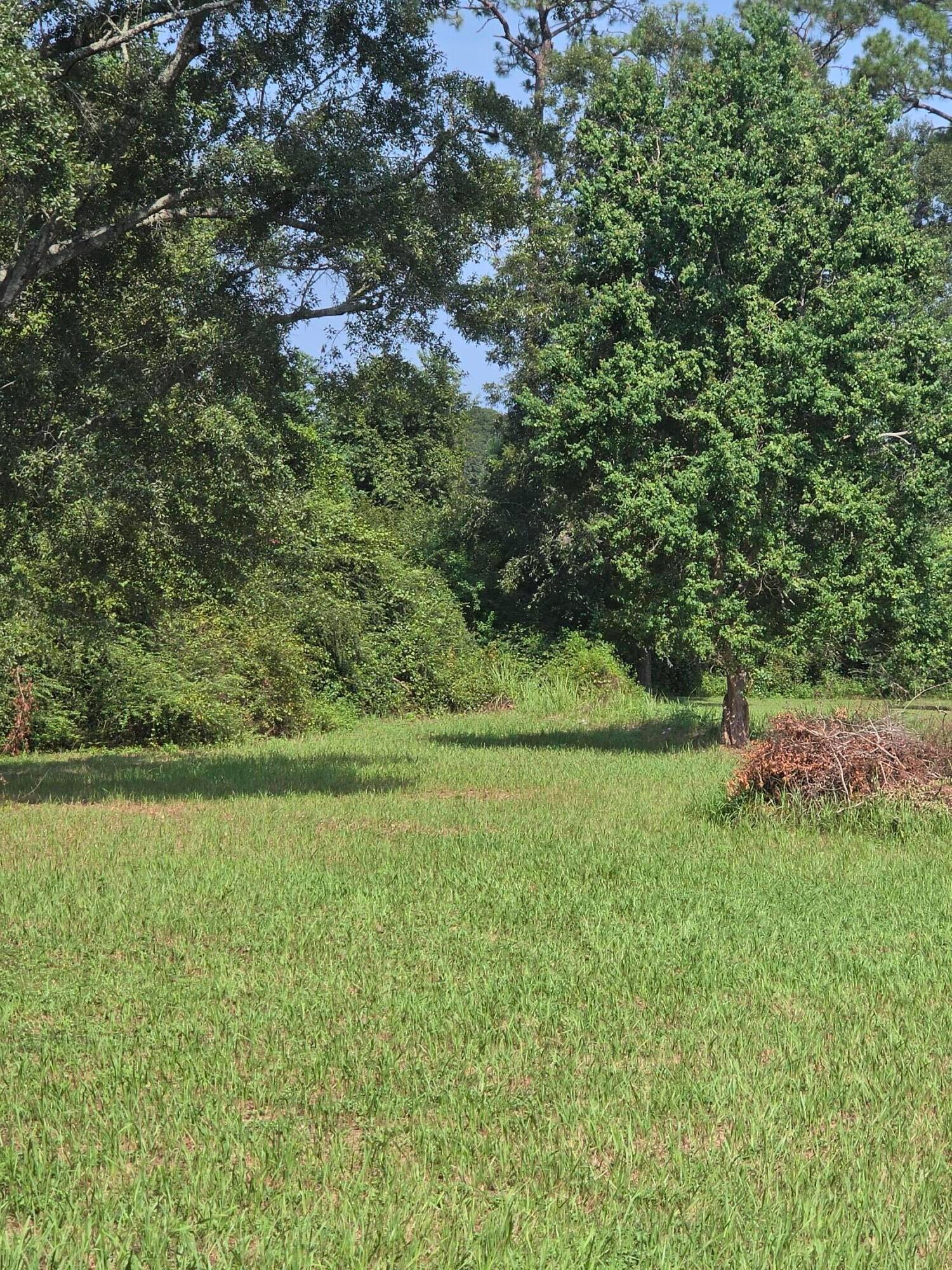Very nice 2-acre parcel located in North Walton County.   This property boasts of a paved road in a very nice country setting.
Property has an RV set up, with power, septic and well.  Buyer to verify serviceability of all utilities.   Land is cleared and has large oaks, and plenty of shade.  Come take a look at this exquisite parcel of land.