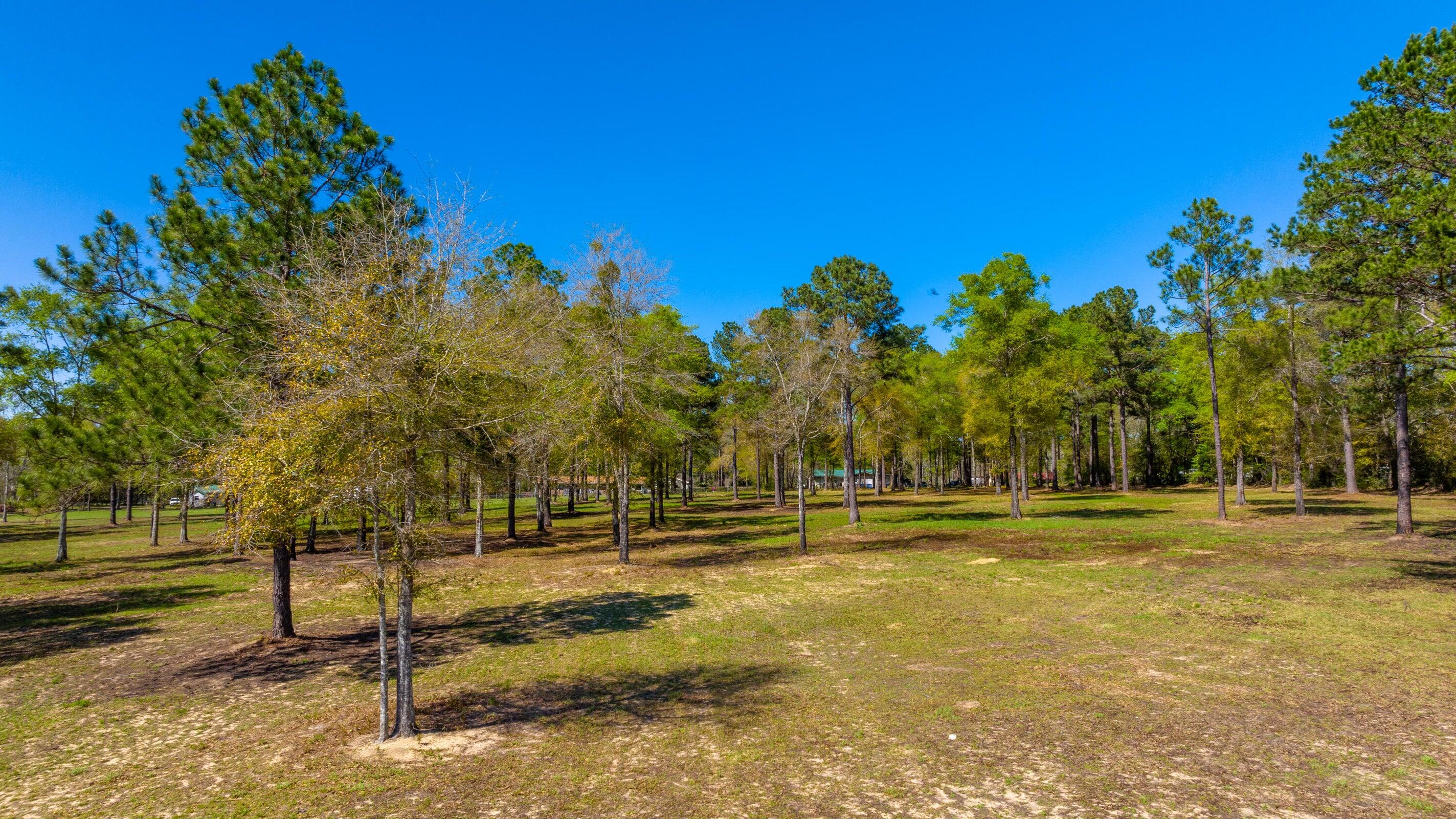 Located in the city limits of Paxton this 10 acres offers many opportunities for the buyer. Paved road frontage along with City water available.  Property has been well maintained and is move to ready! 
Great chance to build your dream home in the city with land or hold for development purpose investment!