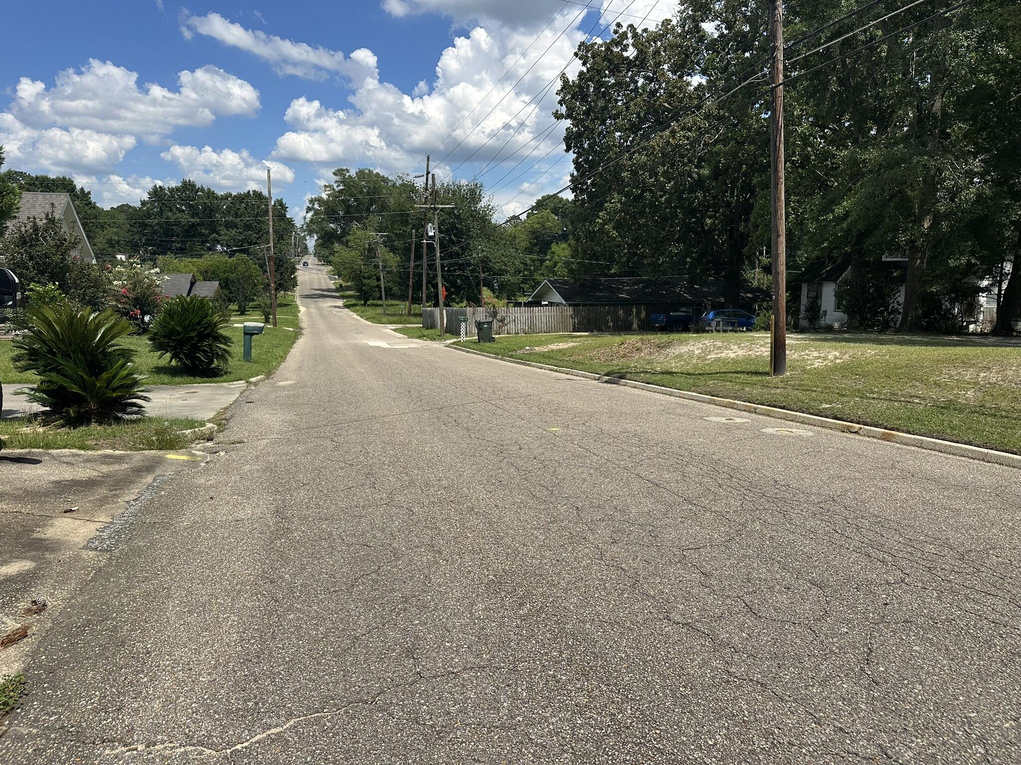 Enjoy the convenience of small-town living with this approximately 0.37-acre level lot located in the heart of Opp, Alabama! Situated near local shopping, dining, schools, and community amenities, this property offers a convenient location with plenty of potential. Whether you are looking for a place to build or an investment opportunity, this centrally located lot is ready for your vision. Buyer and buyer's agent to verify all information deemed important, including zoning, permitted use, utility availability, lot dimensions, and building requirements. seller holds title via tax deed.
