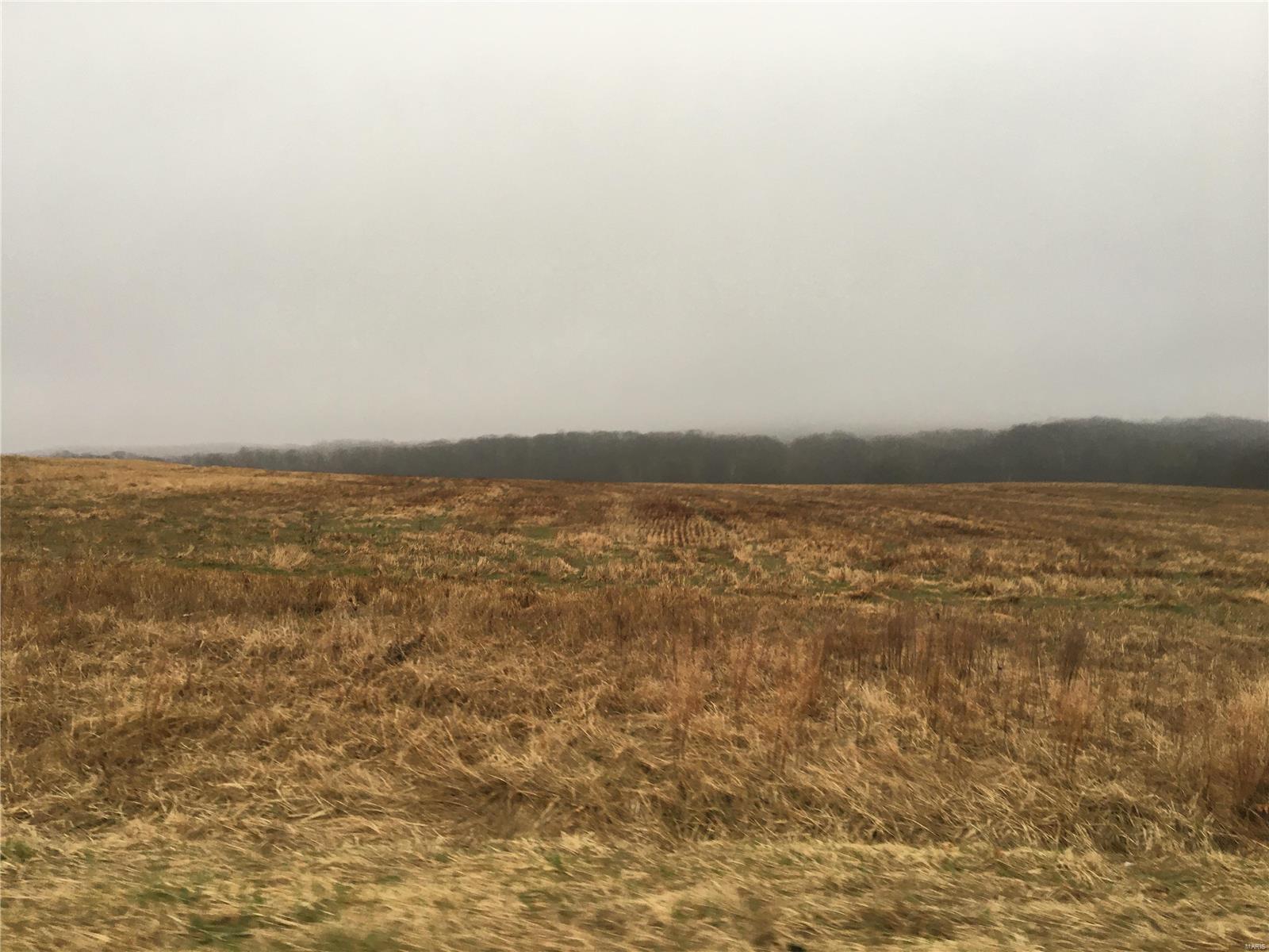 Beautiful Farm in Highly Sought After Location in Pike County! 293 +/- acres, approx 124 tillable, remainder in pasture and woods, 2 sides road frontage, beautiful creeks, 3 ponds, drilled well, $5500/acre