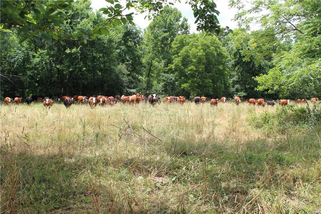 N/A - Farm