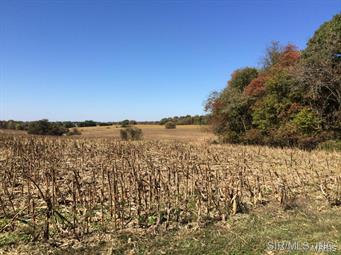 NOT IN A SUBDIVISION - Farm