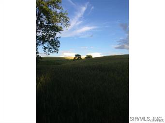 NOT IN A SUBDIVISION - Farm