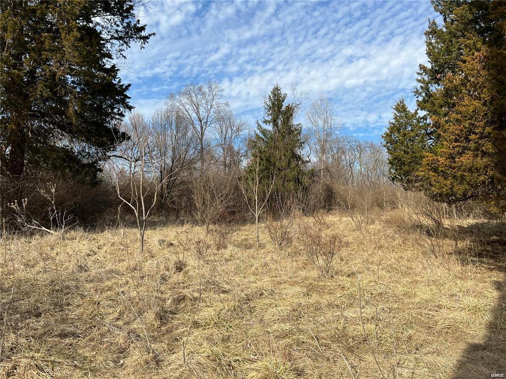 Back on the market through not fault of sellers or the property. Survey just completed.

Includes 23W310030. Beautiful gently rolling acreage in Wildwood. Wide level ridge top.  This would make a great horse property with some clearing. Perfect for a family compound. Some utilities are near the sight.
Buyer and buyers agents are responsible for verifying all info.