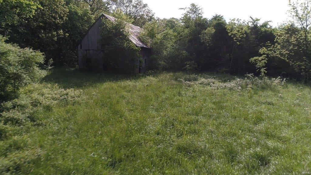 None - Farm