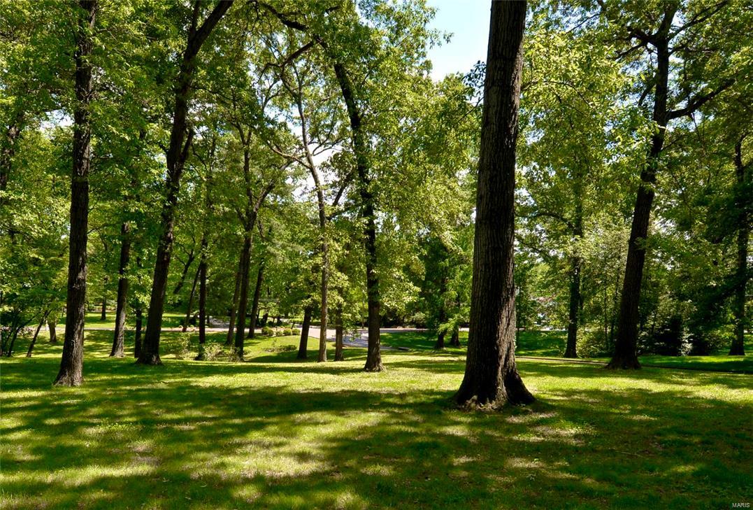 Barclay Woods - Land