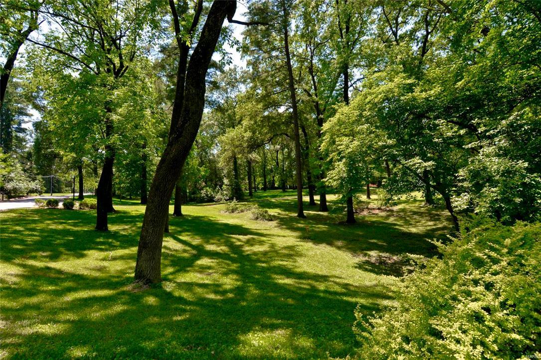 Barclay Woods - Land