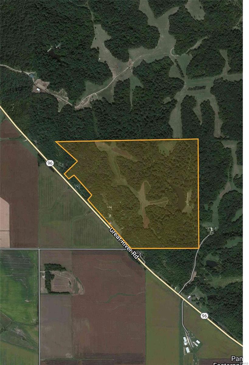 Hunting Property in beautiful Pike County!  Property has CRP income!  Beautiful pond!  175 Acres of rolling hill ground with a view of the Mississippi River bottoms!.
